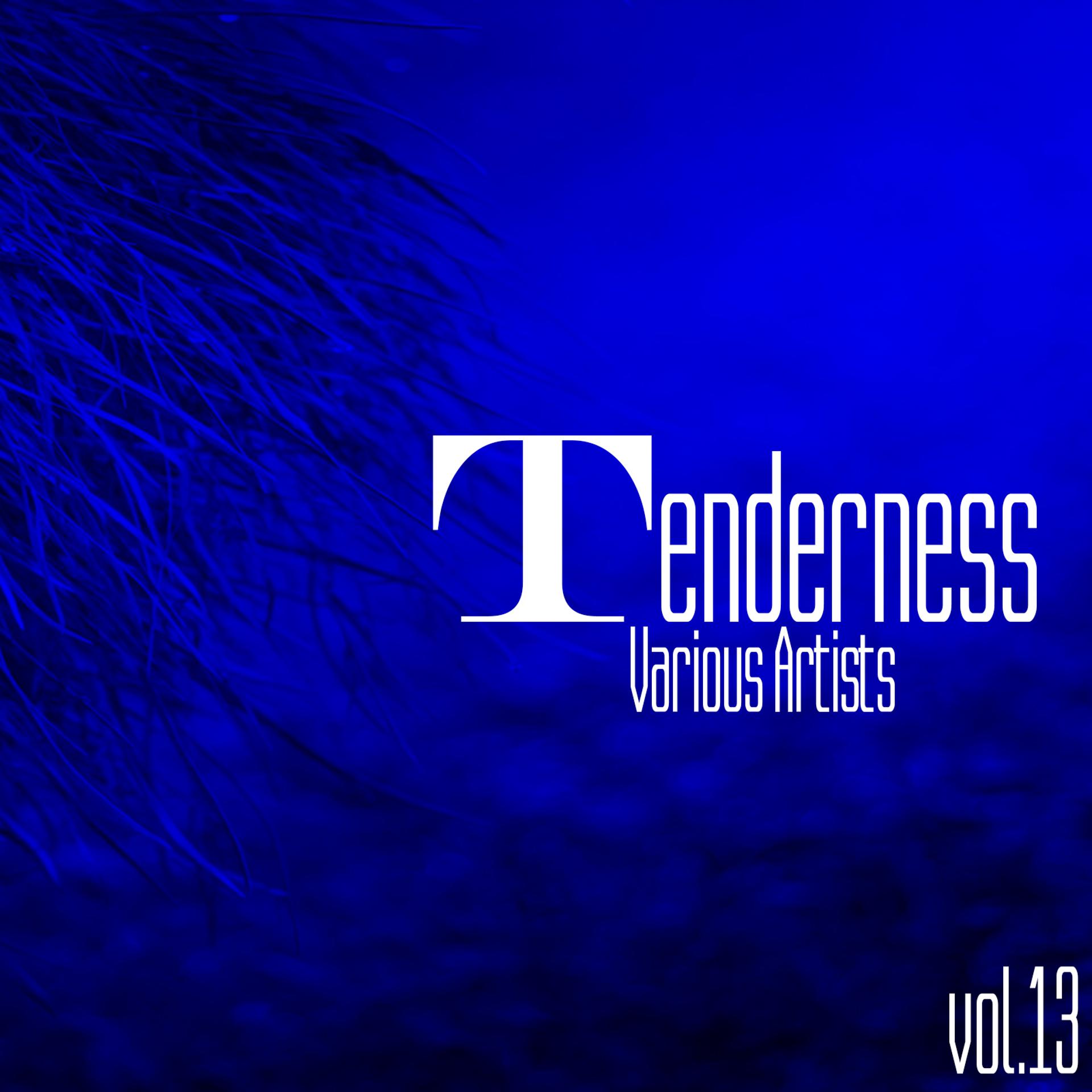 Постер альбома Tenderness, Vol. 13