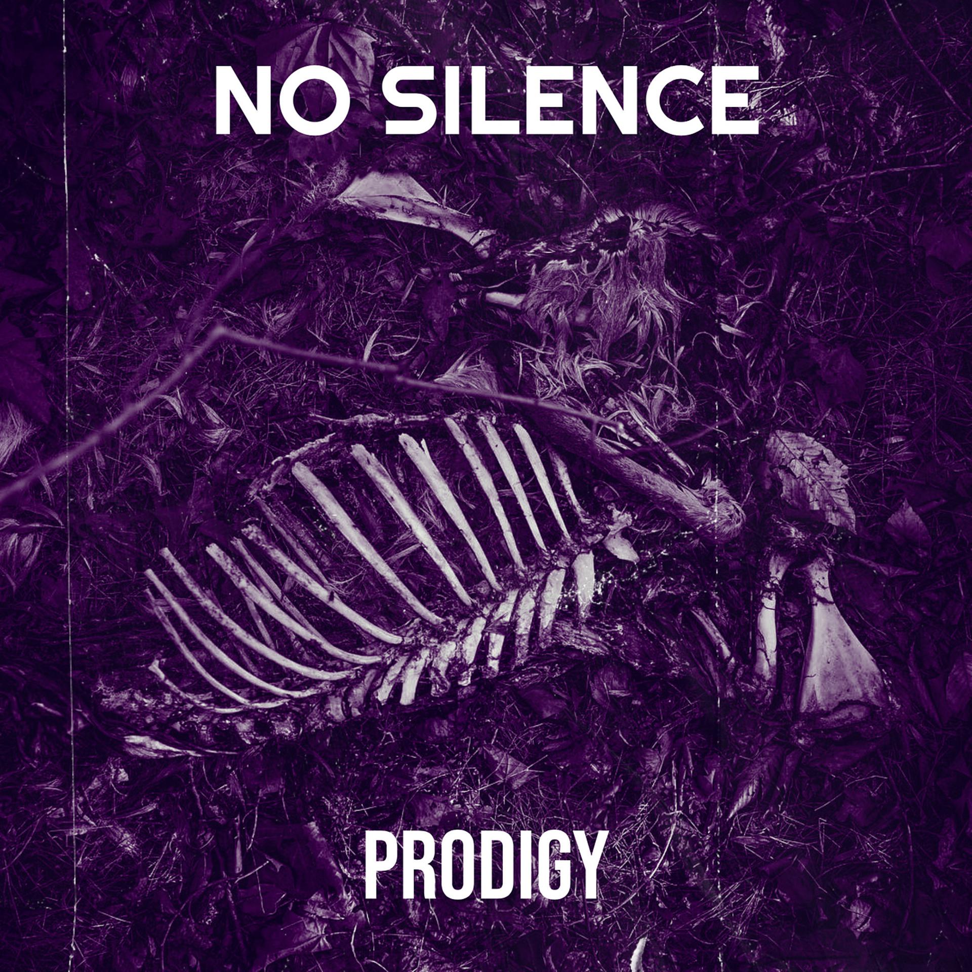 Постер альбома No Silence