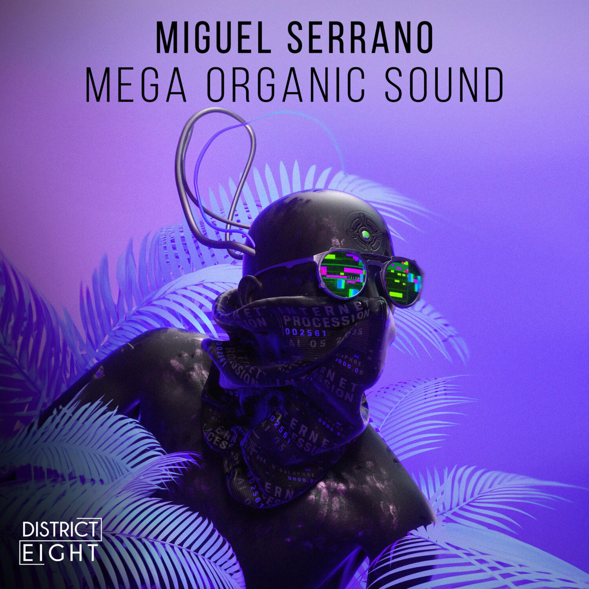Постер альбома Mega Organic Sound