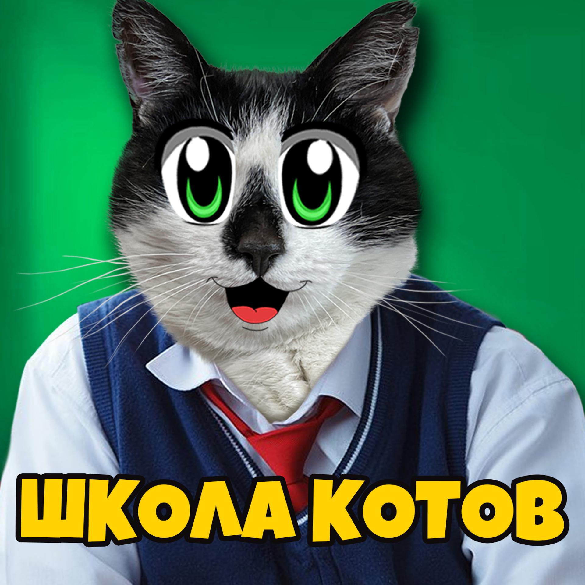 Постер альбома Школа котов