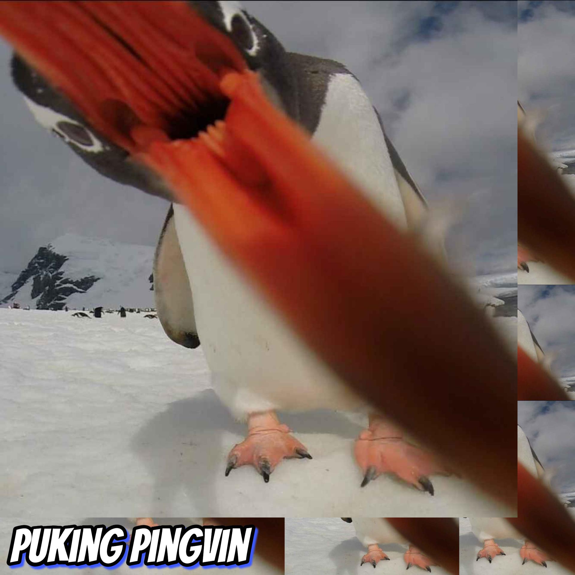 Постер альбома Puking Pingvin