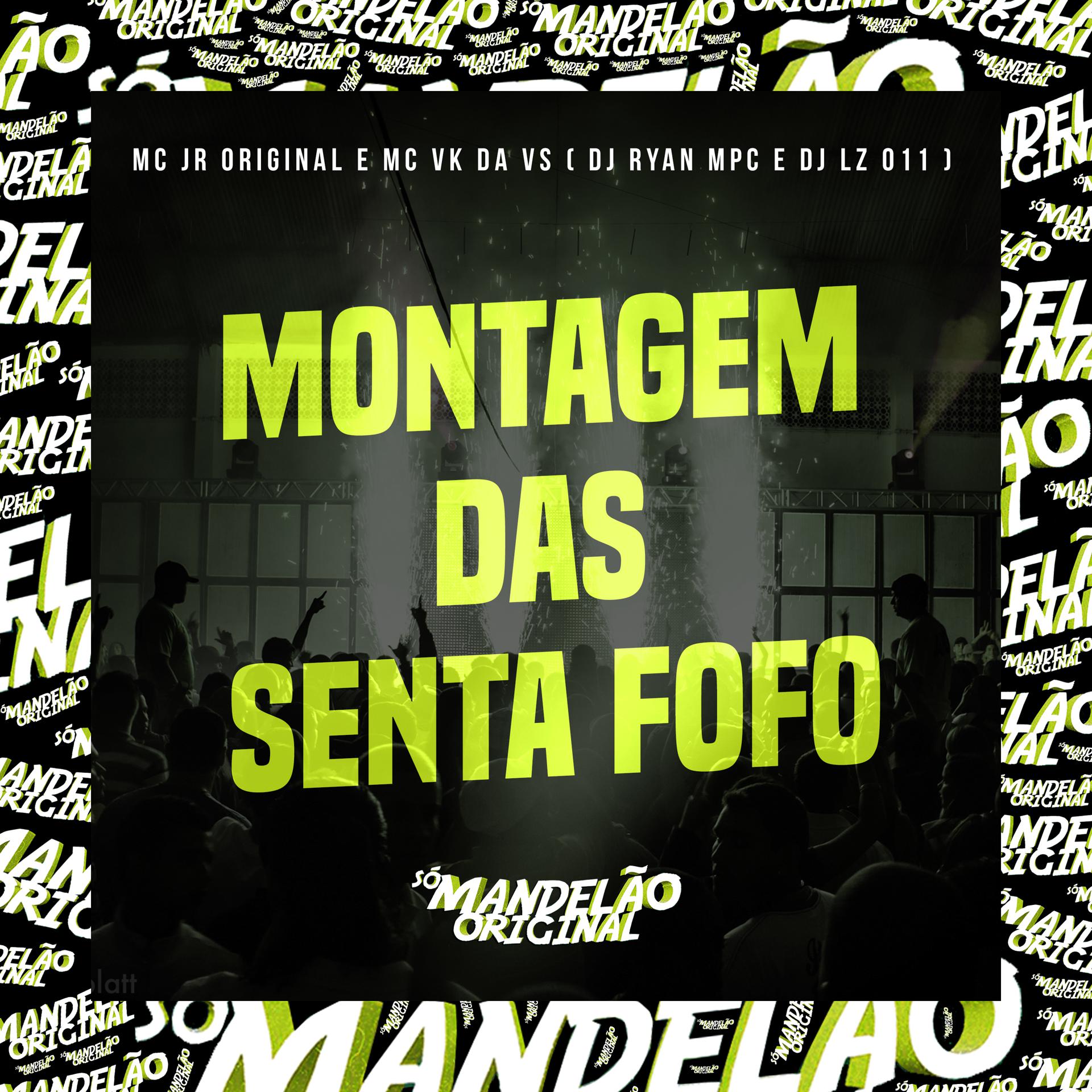 Постер альбома Montagem das Senta Fofo