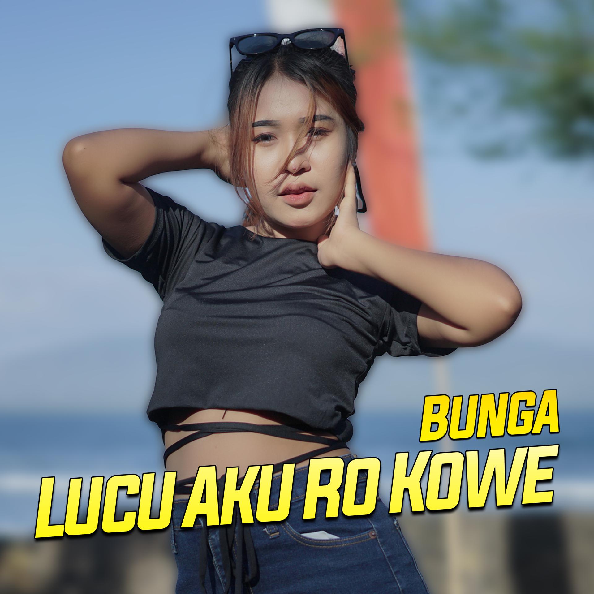 Постер альбома Lucu Aku Ro Kowe