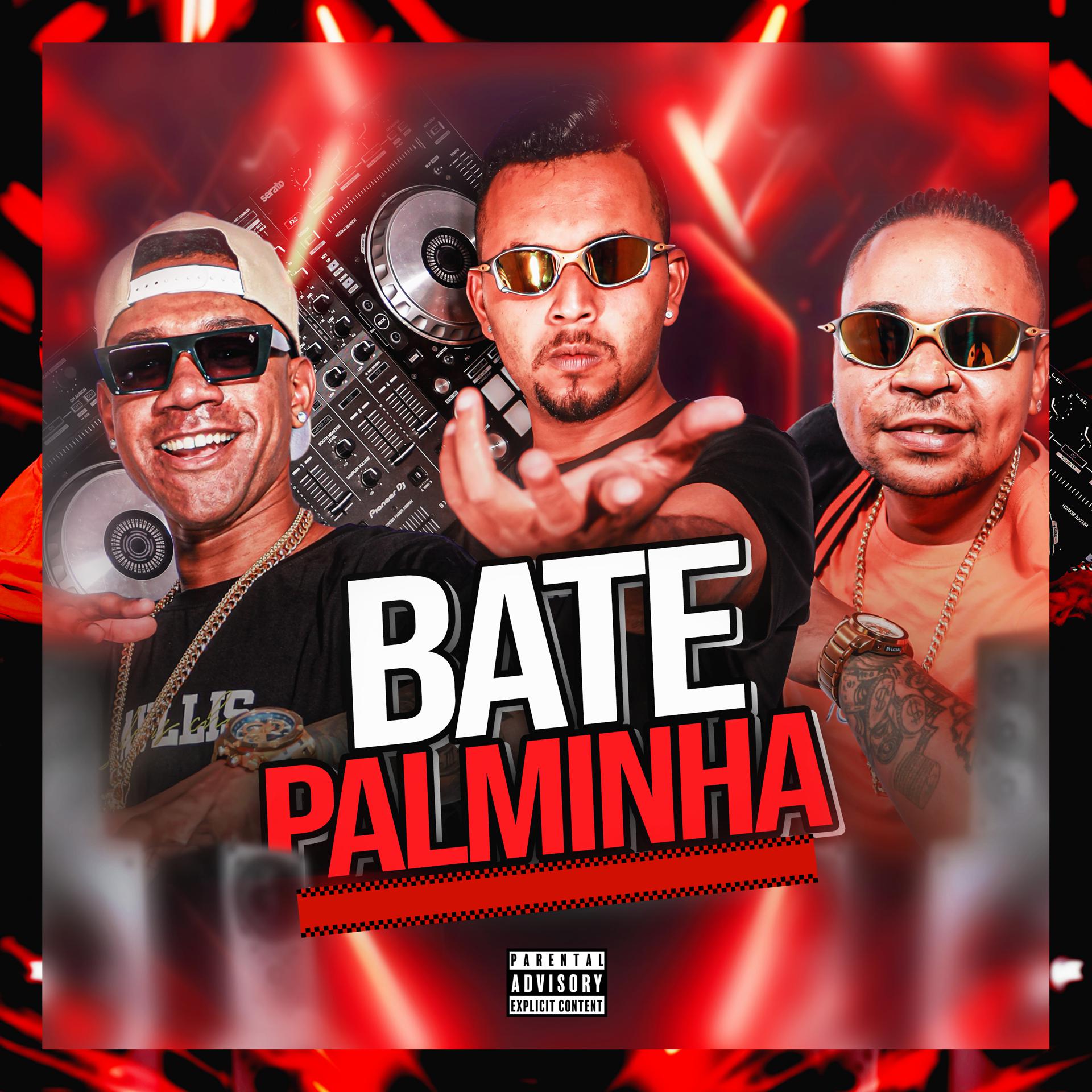 Постер альбома Bate Palminha