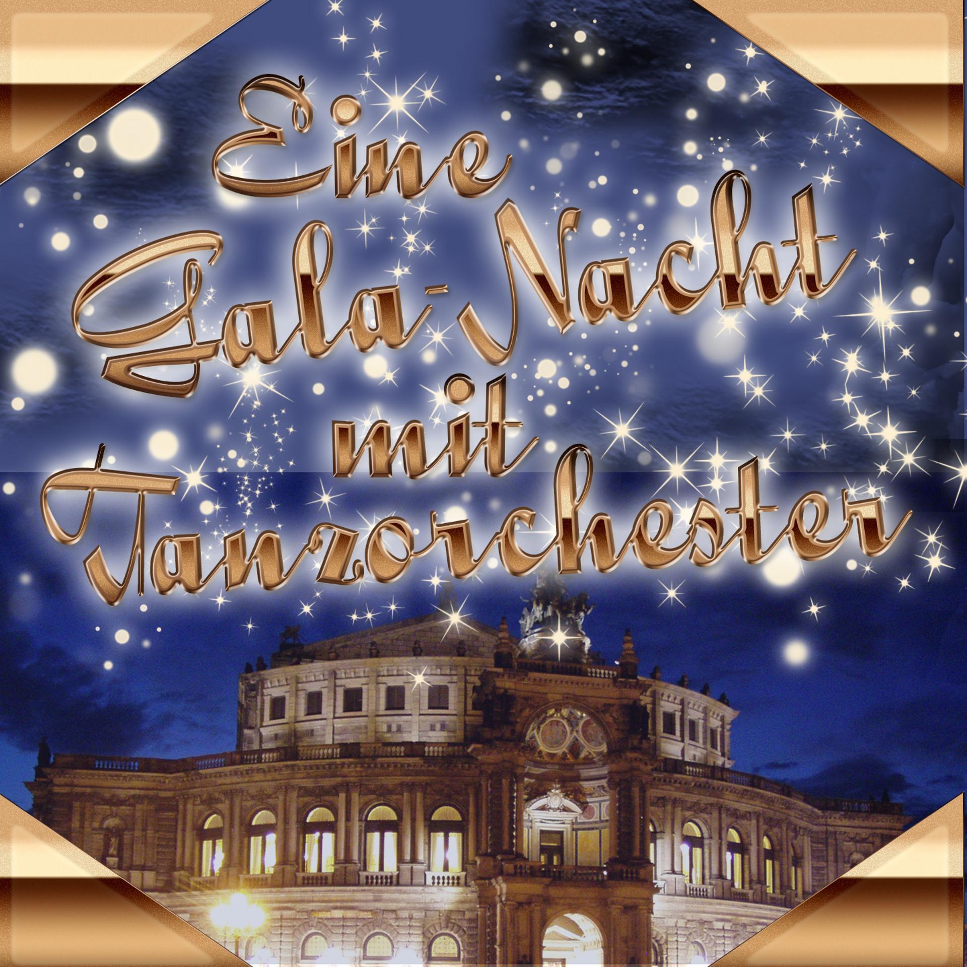 Постер альбома Eine Gala-Nacht mit Tanzorchester