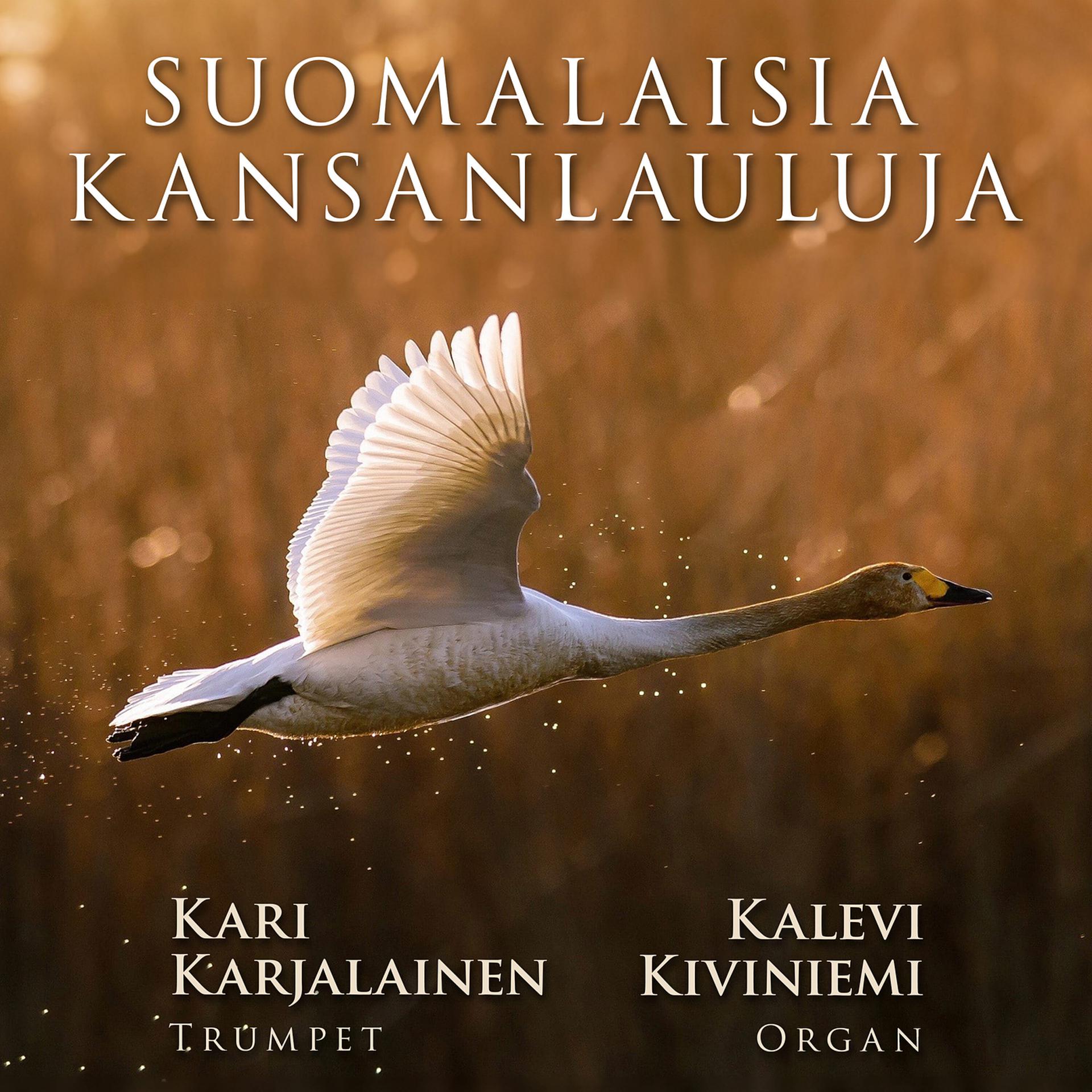 Постер альбома Suomalaisia Kansanlauluja