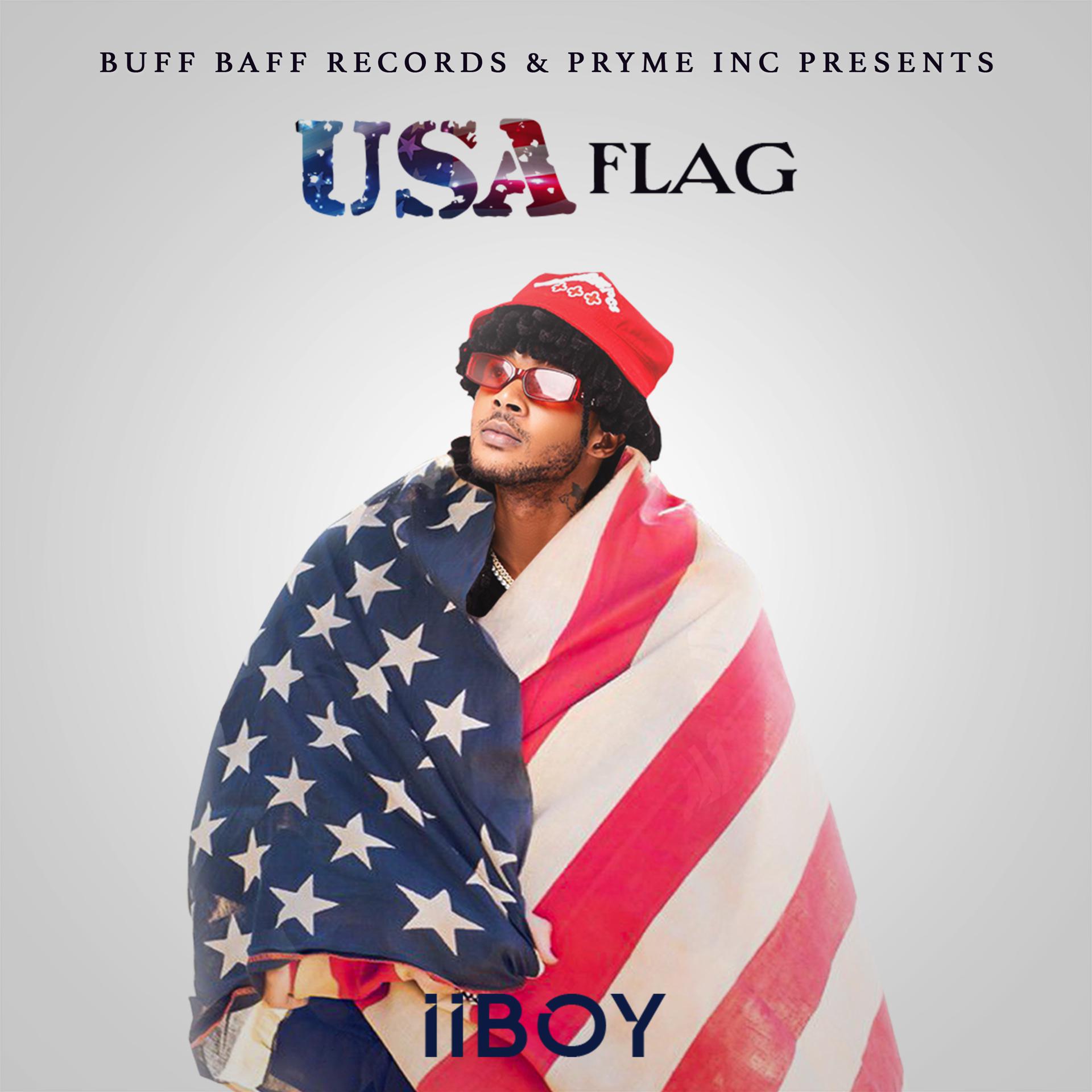 Постер альбома USA Flag