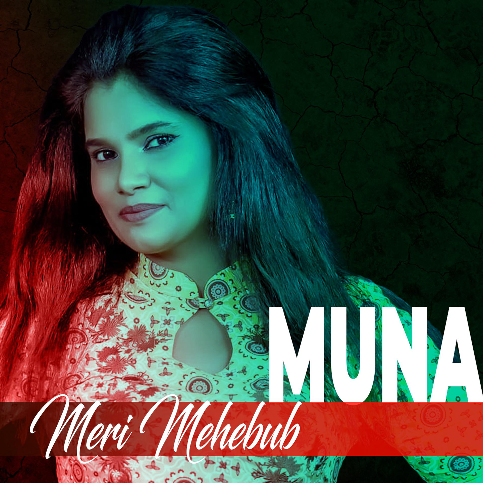Постер альбома Meri Mehebub
