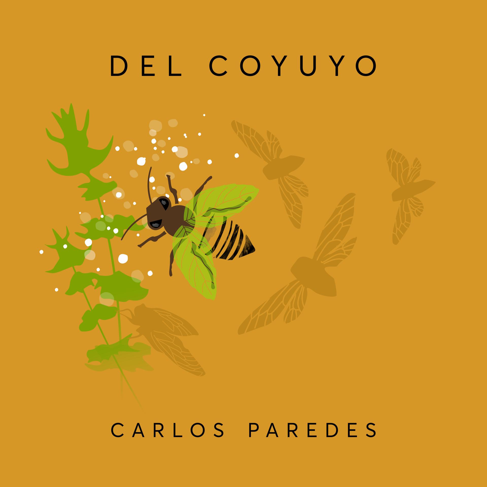 Постер альбома Del Coyuyo