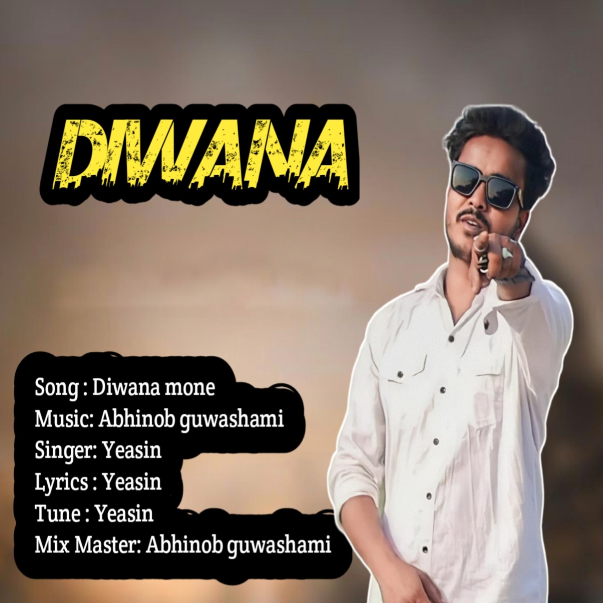 Постер альбома Diwana Mone