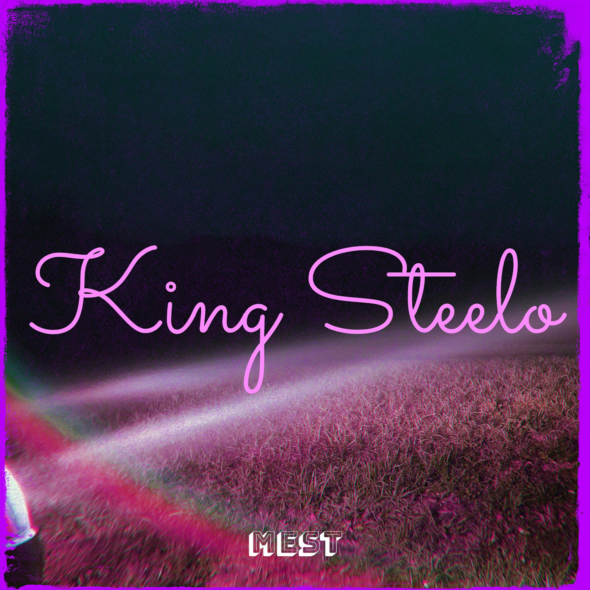 Постер альбома King Steelo