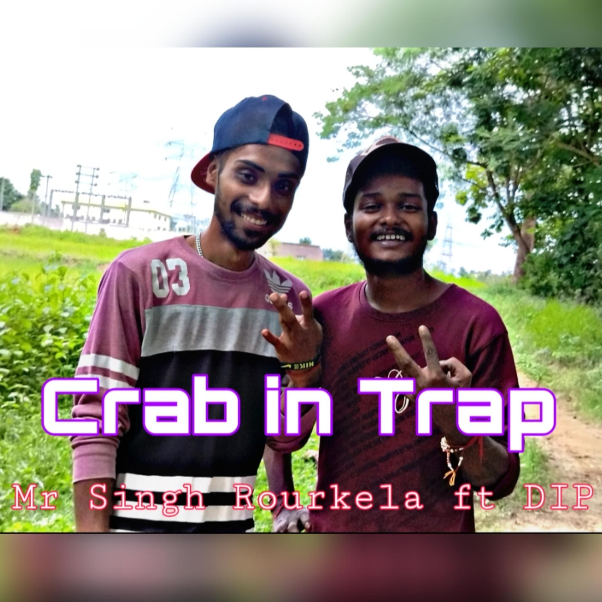 Постер альбома Crab in Trap