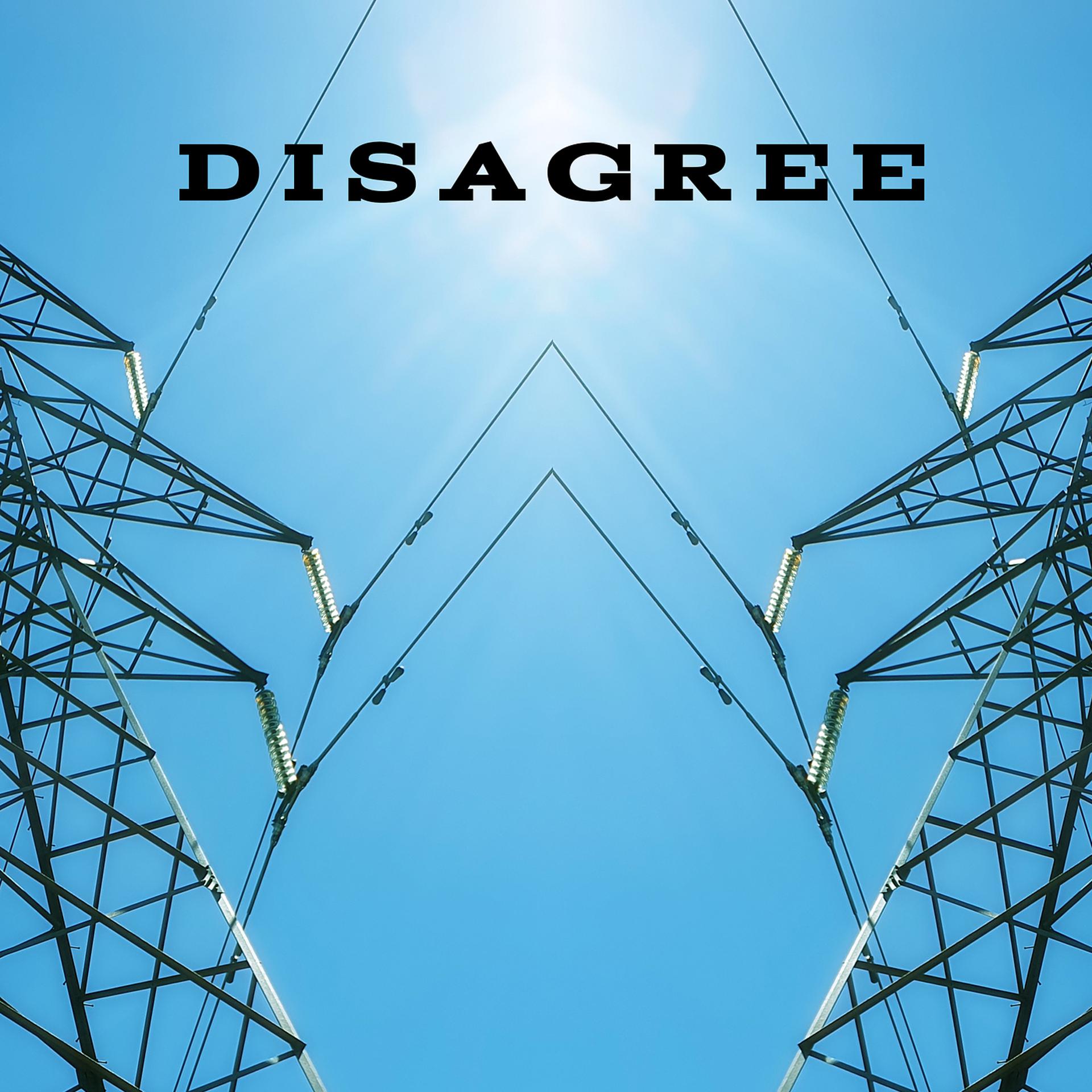 Постер альбома Disagree