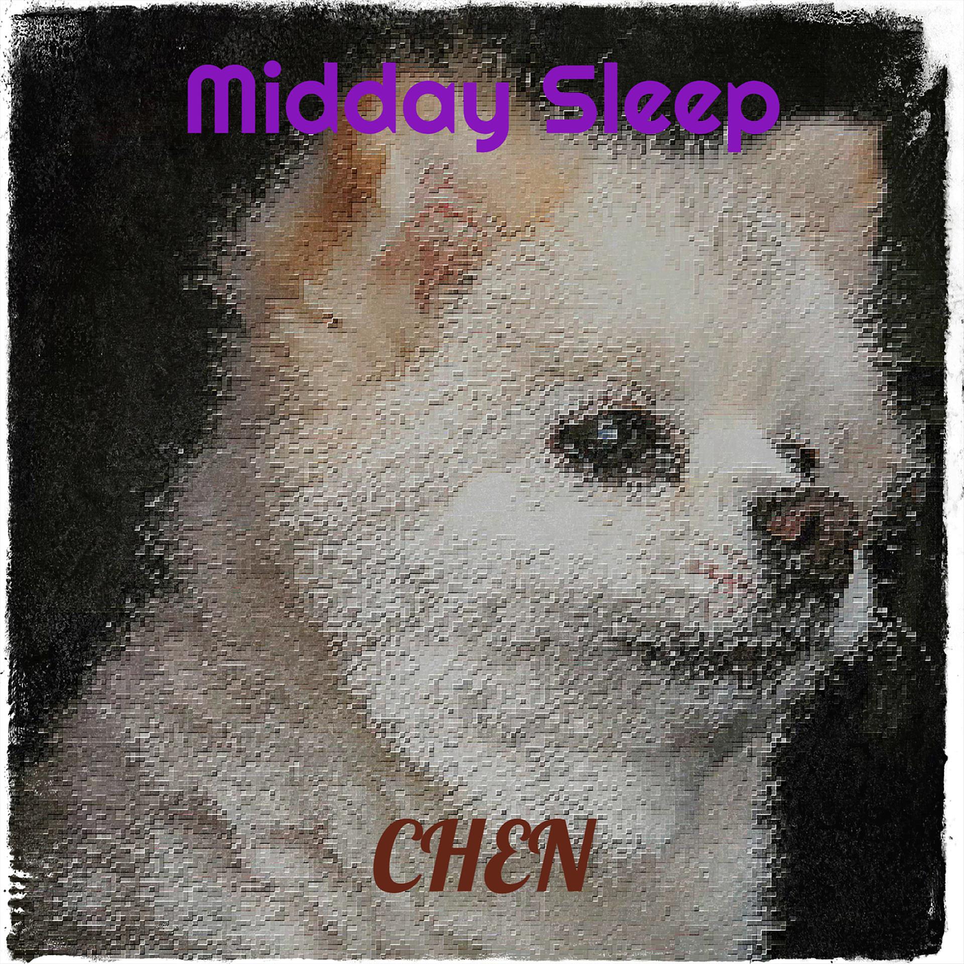 Постер альбома Midday Sleep