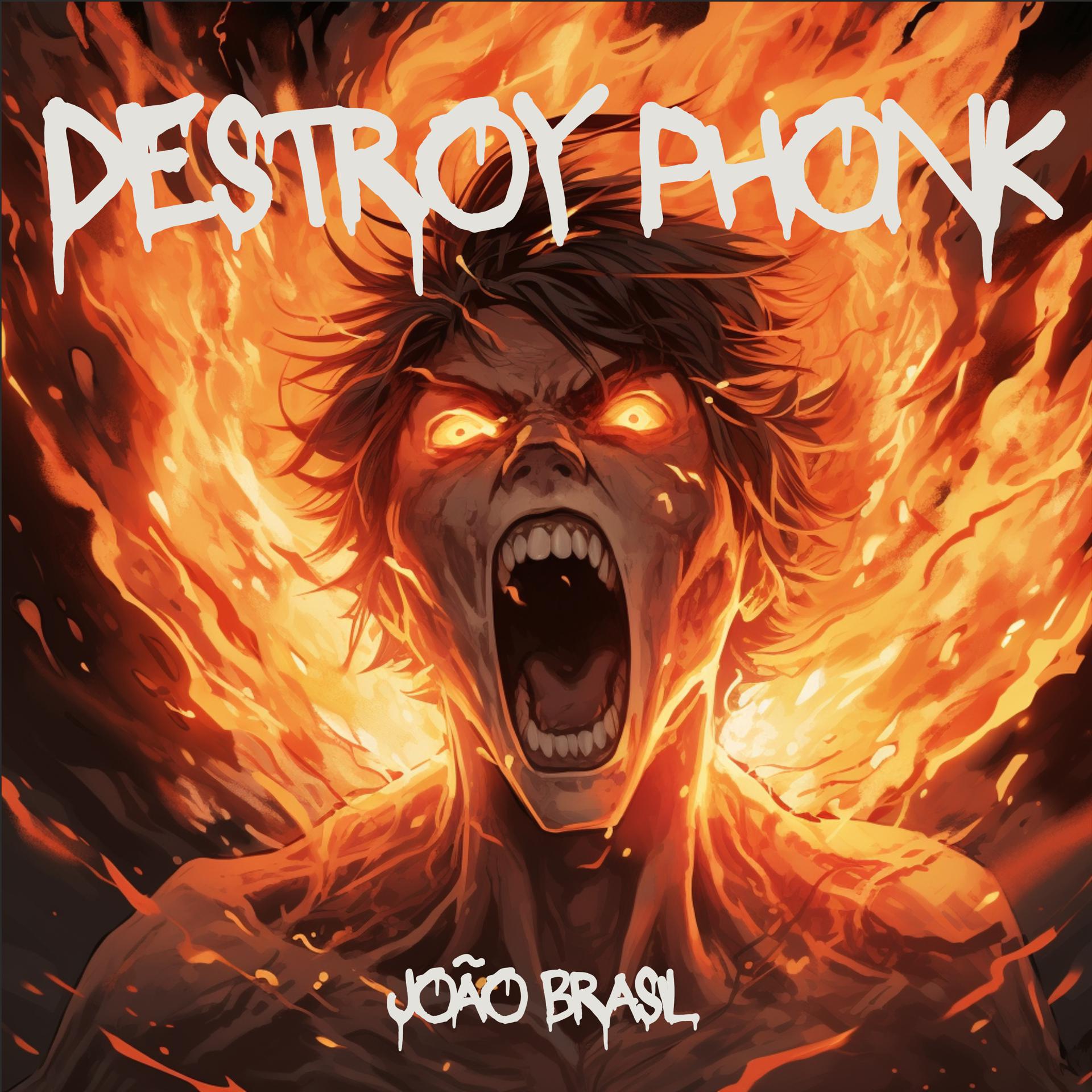 Постер альбома Destroy Phonk