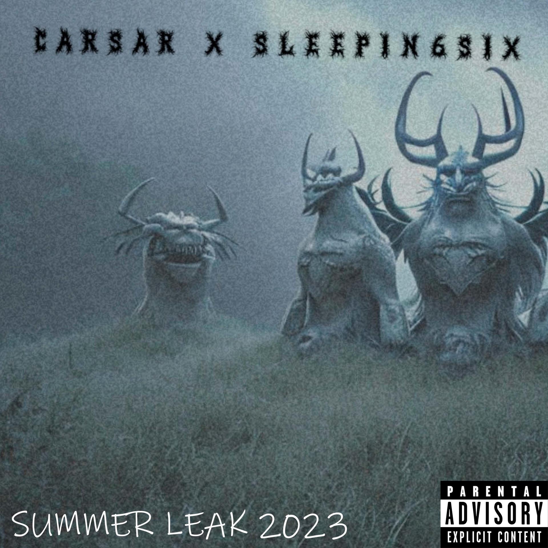 Постер альбома Summer Leak 2023