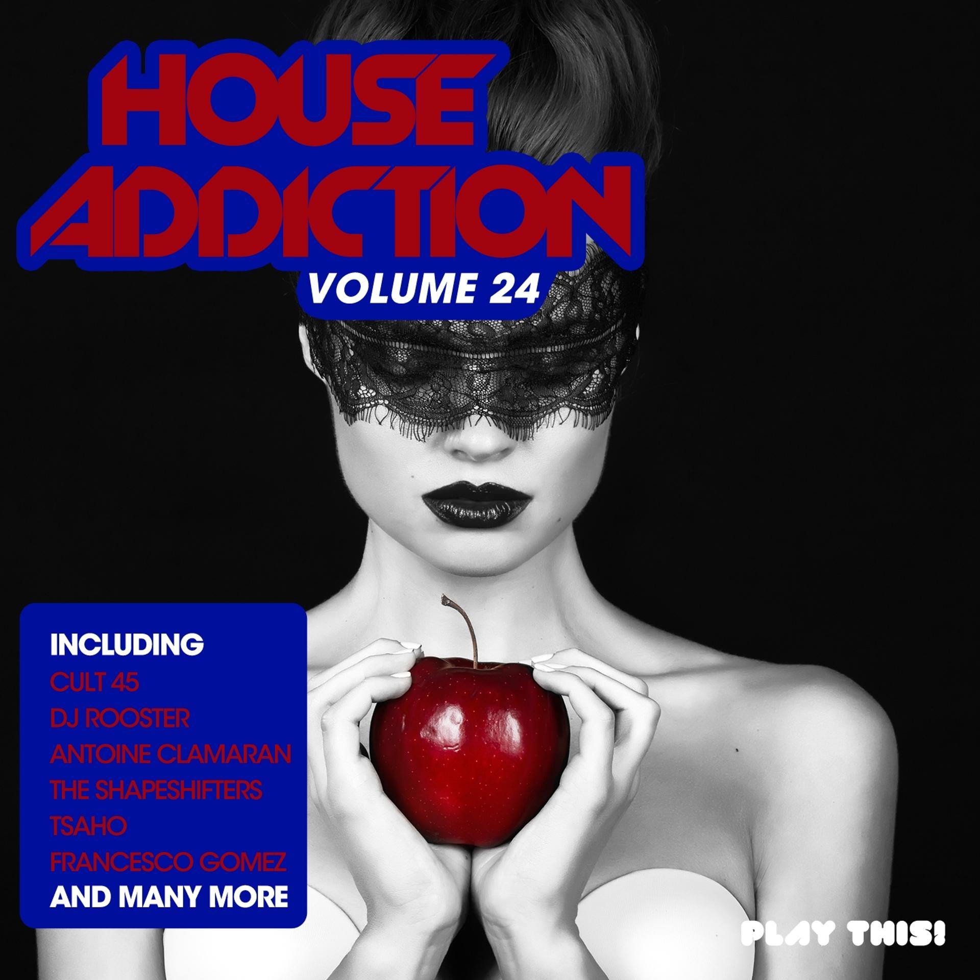 Постер альбома House Addiction, Vol. 24