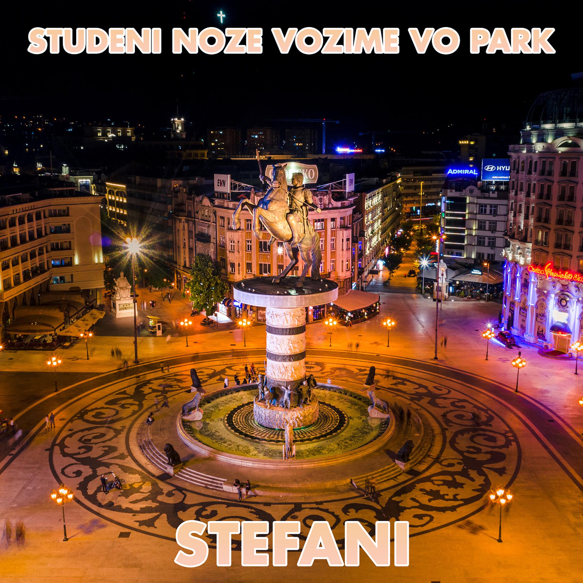 Постер альбома Studeni Noze Vozime Vo Park