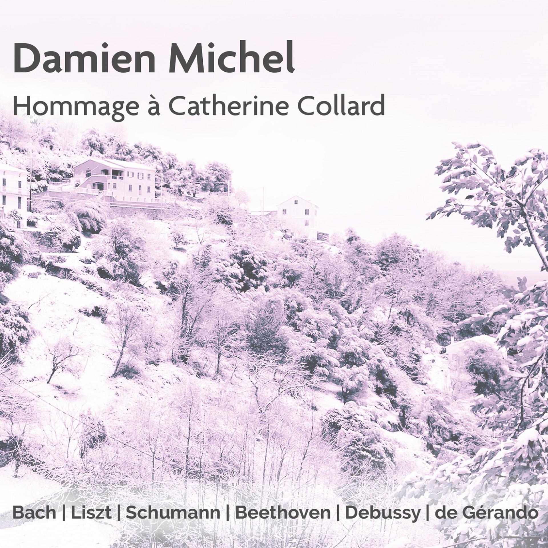 Постер альбома Hommage à Catherine Collard