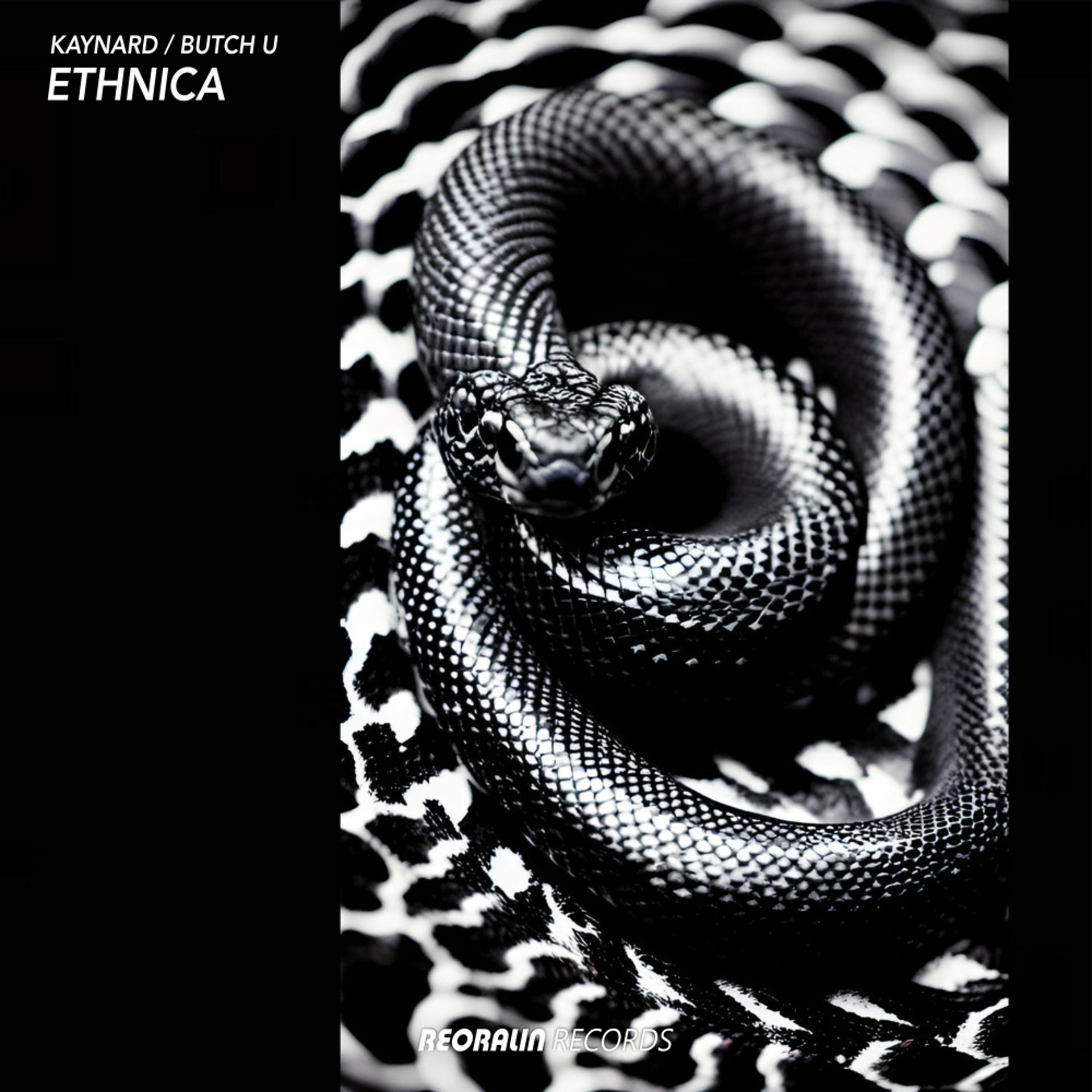 Постер альбома Ethnica