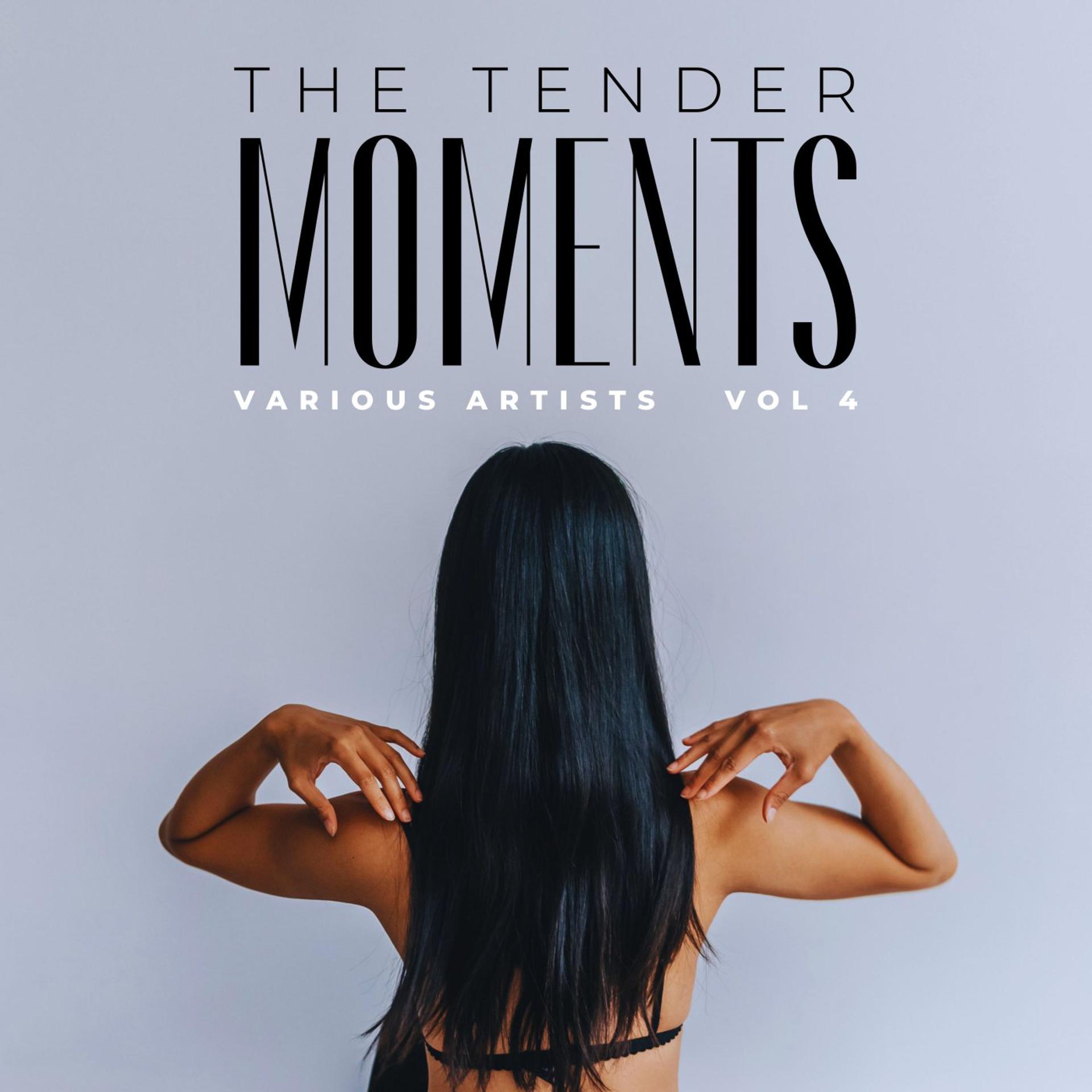 Постер альбома The Tender Moments, Vol. 4