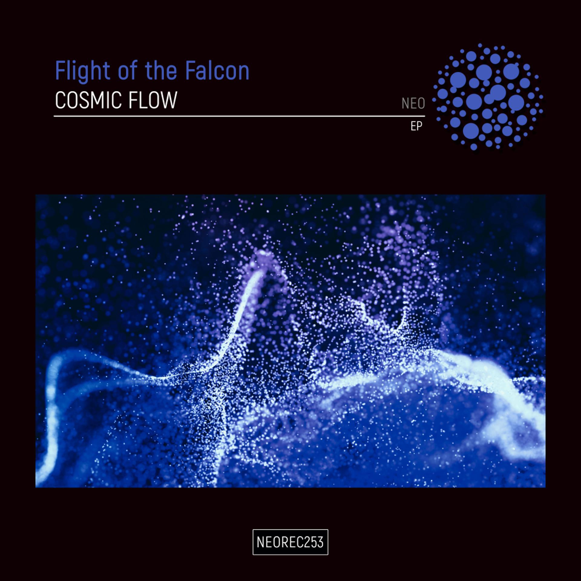 Постер альбома Cosmic Flow EP