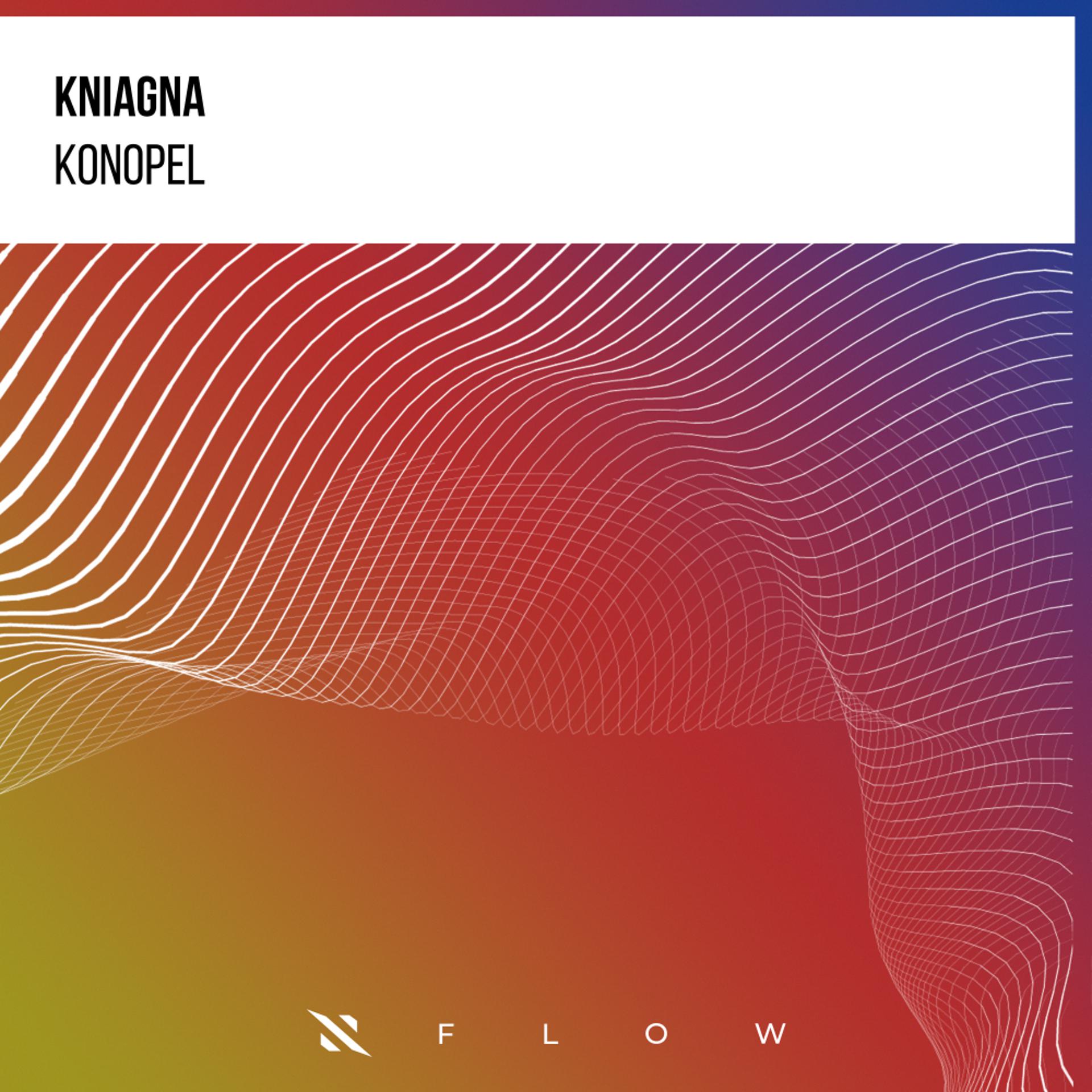 Постер альбома Konopel