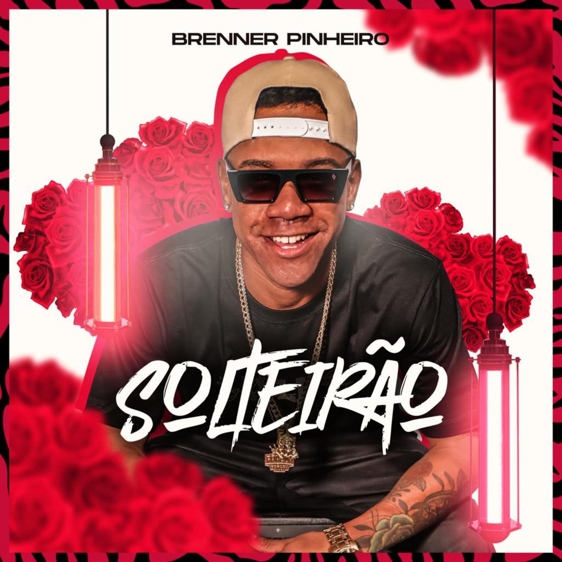 Постер альбома Solteirão
