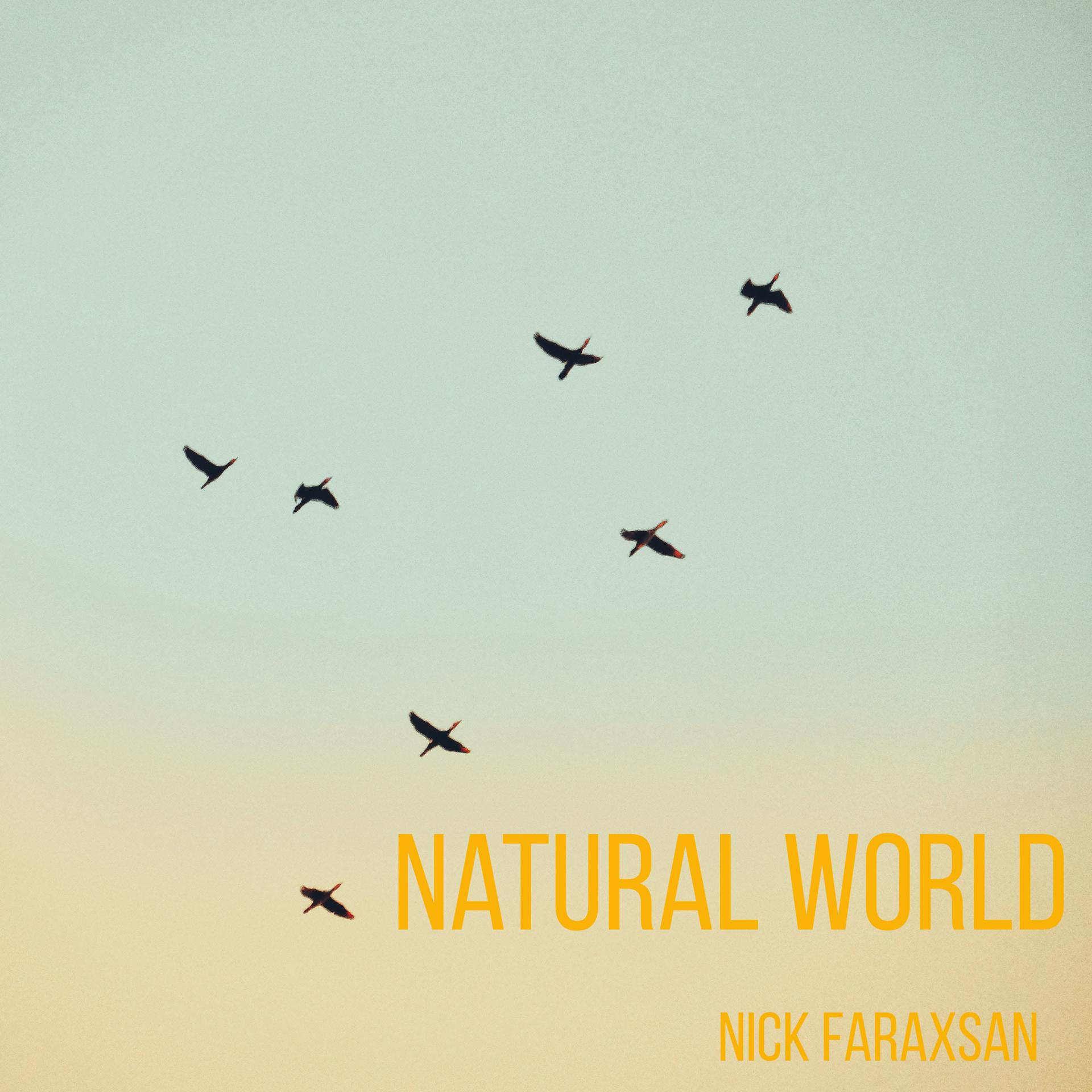 Постер альбома Natural World