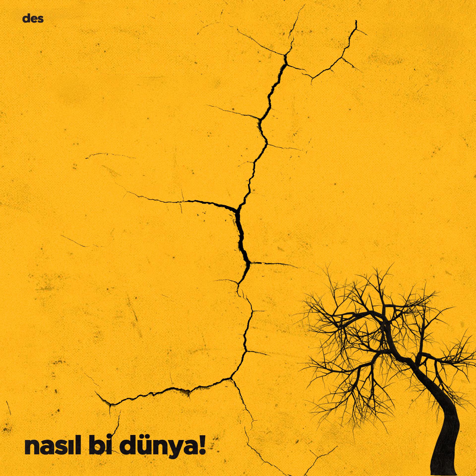 Постер альбома NASIL Bİ DÜNYA