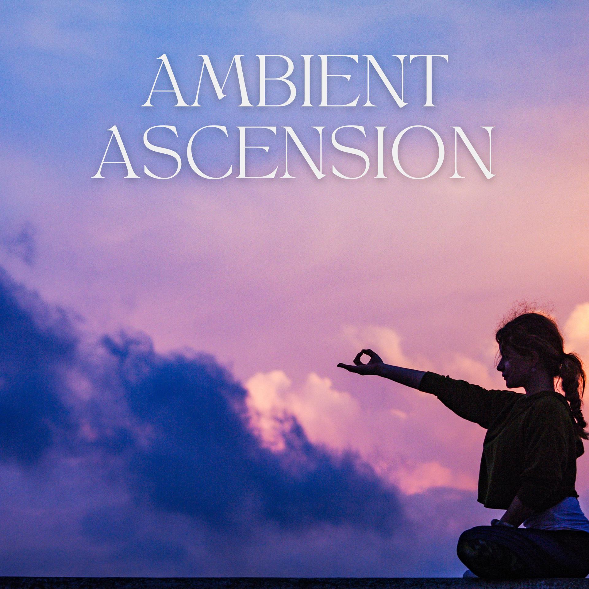 Постер альбома Ambient Ascension