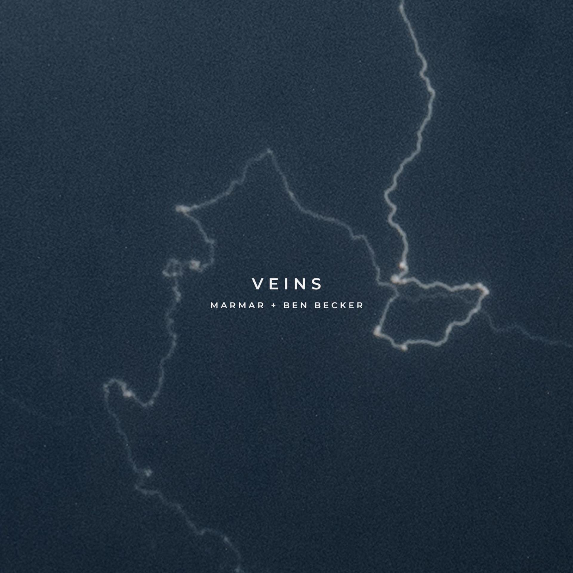 Постер альбома Veins