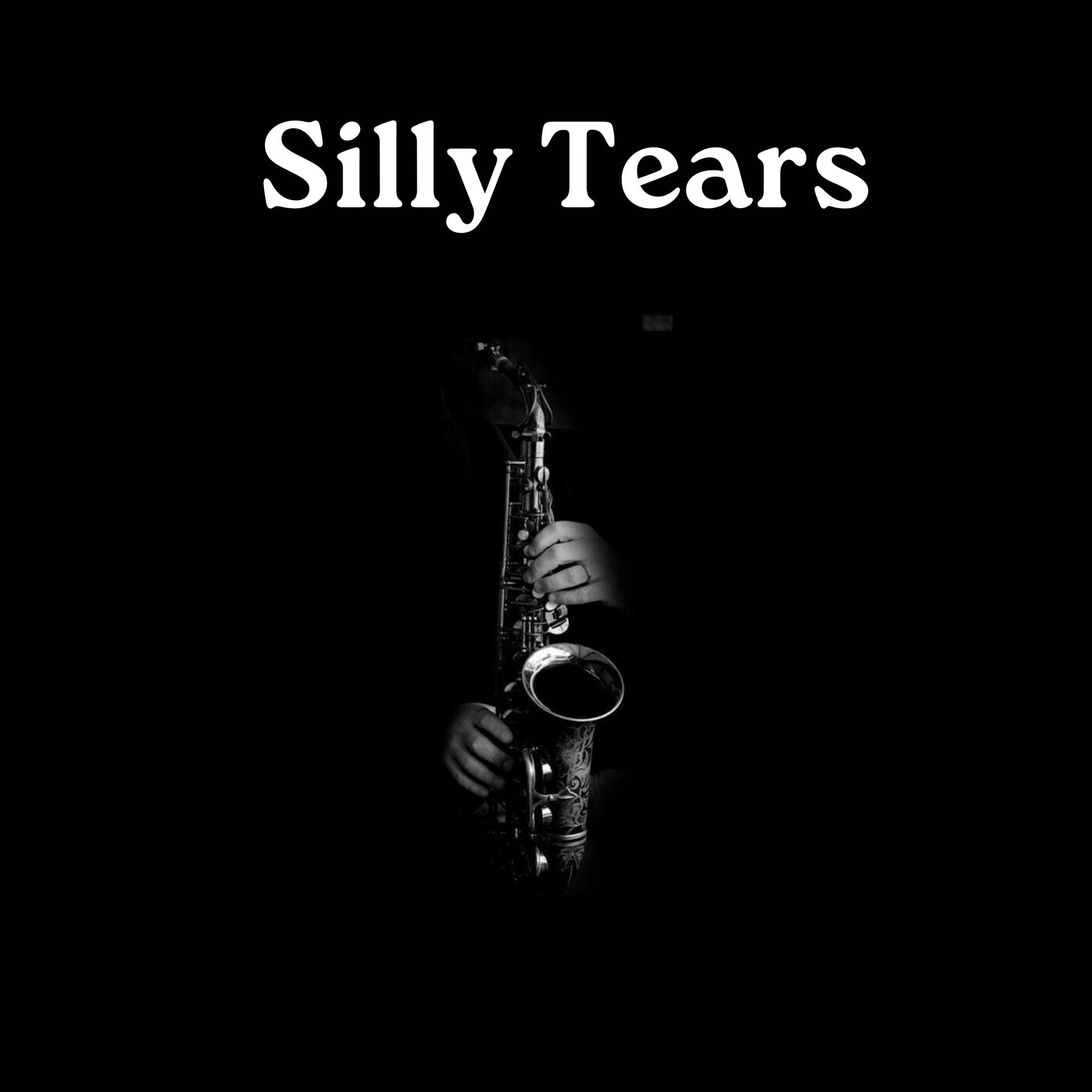 Постер альбома Silly Tears