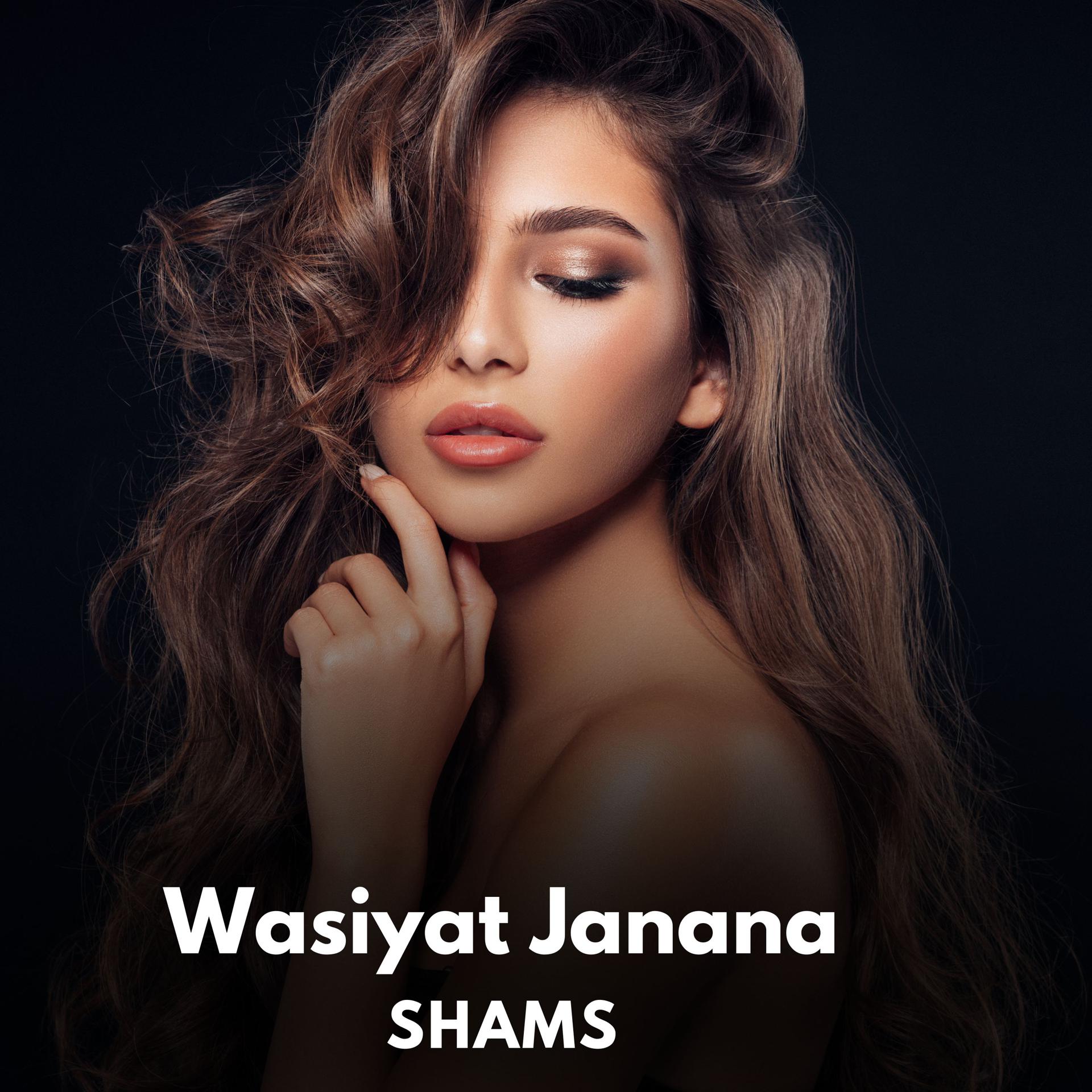 Постер альбома Wasiyat Janana