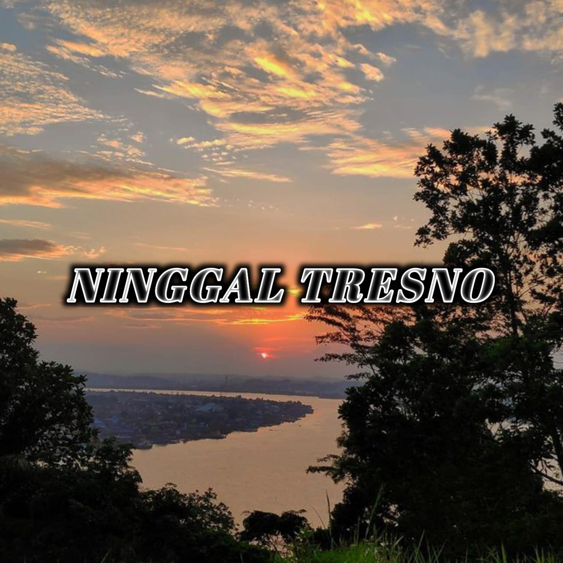 Постер альбома Ninggal Tresno