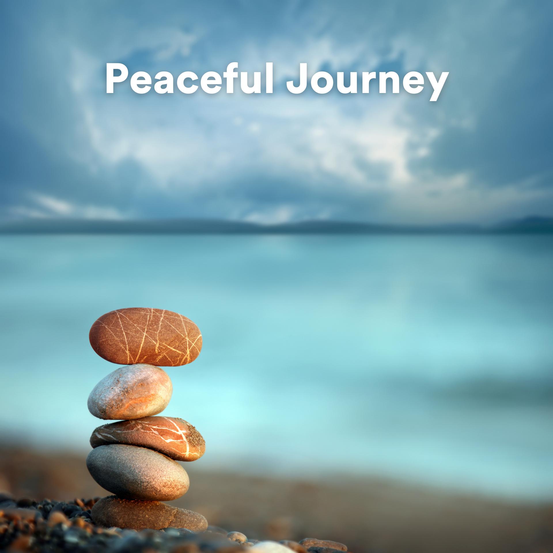 Постер альбома Peaceful Journey