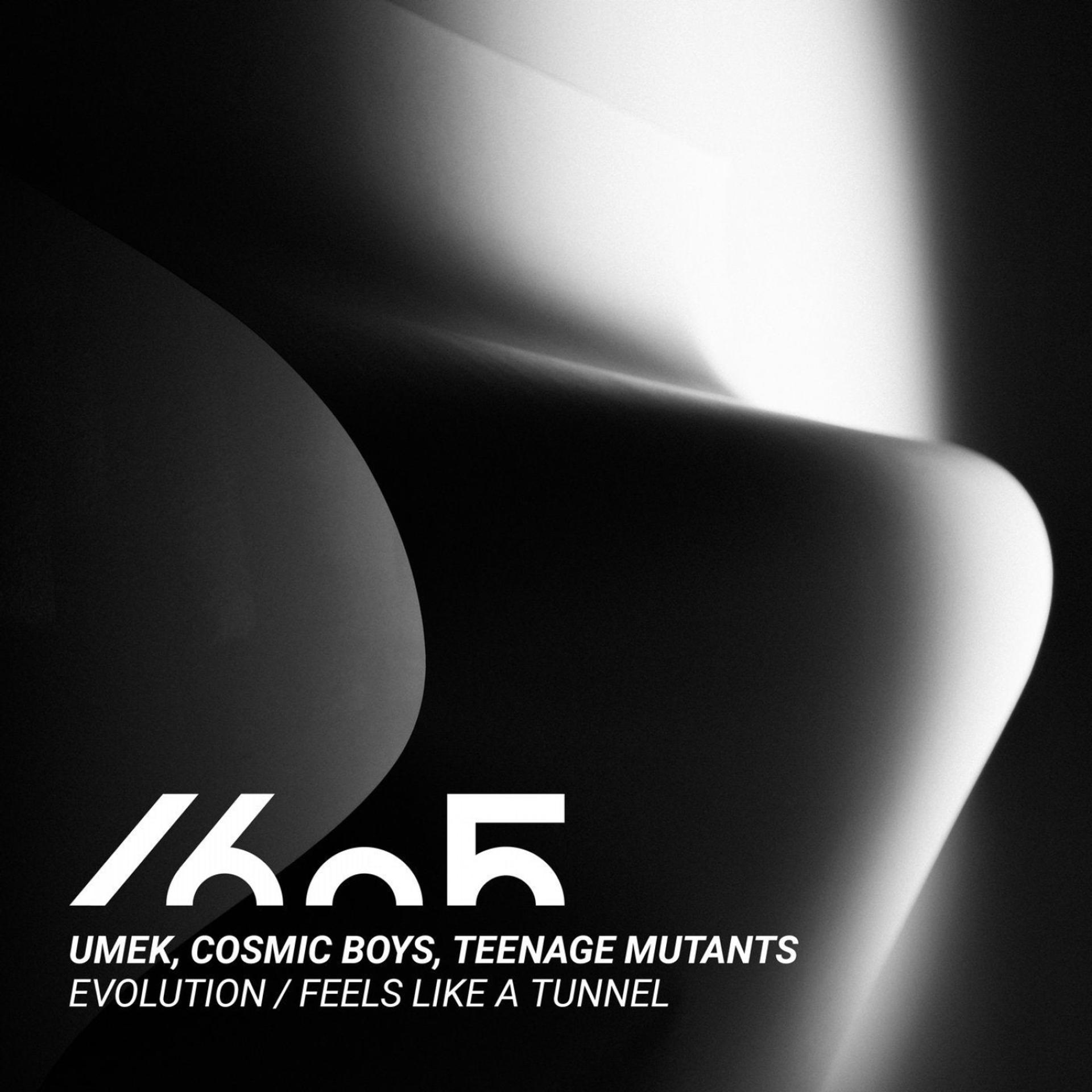 Постер альбома Evolution / Feels Like a Tunnel
