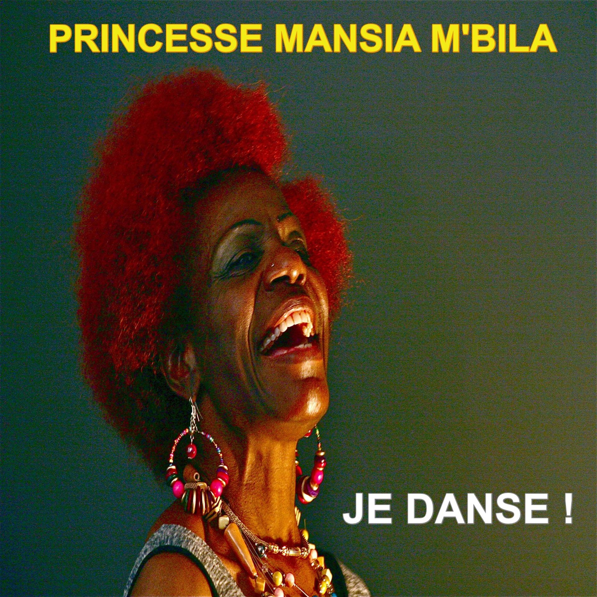 Постер альбома Je danse !