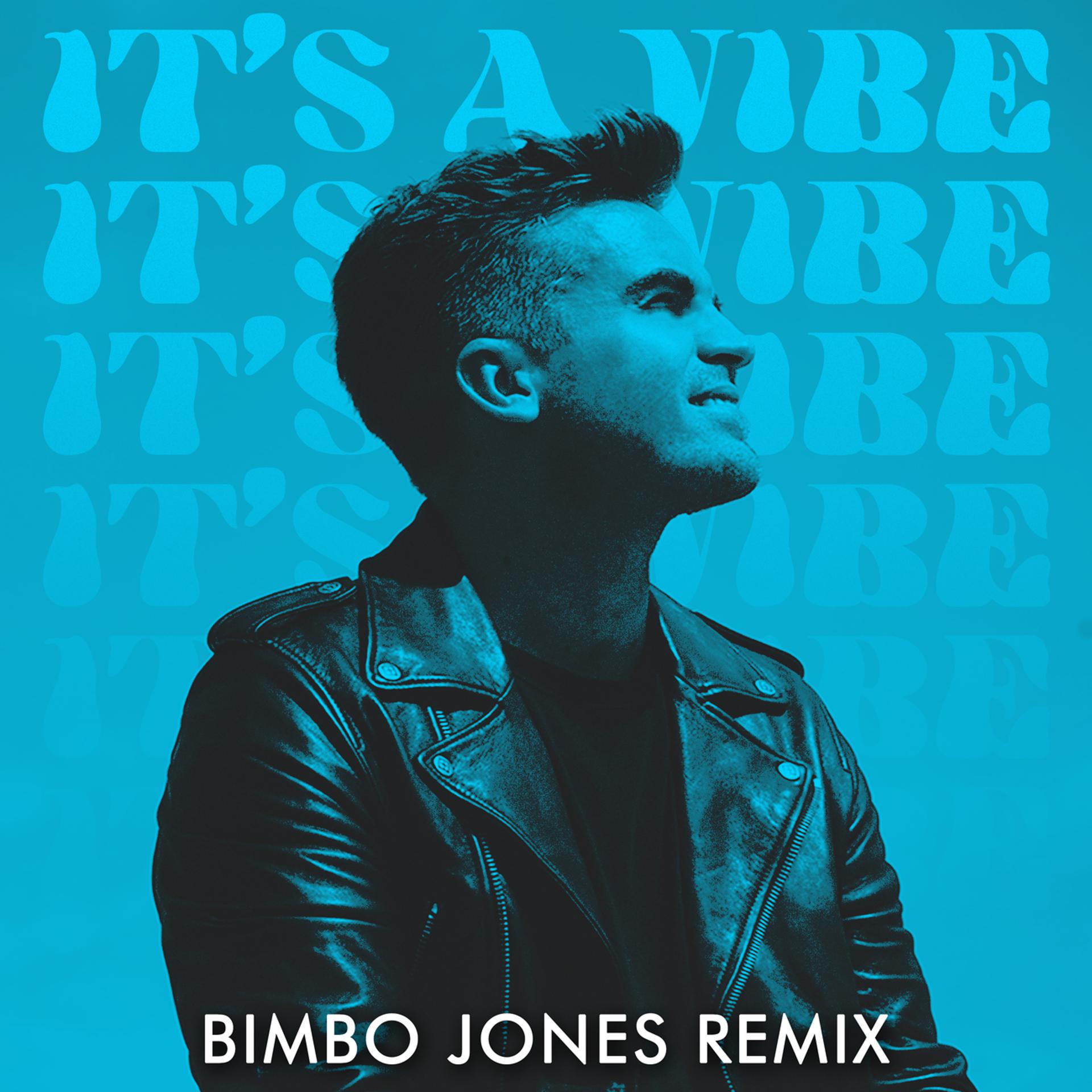 Постер альбома It's A Vibe (Bimbo Jones Remix)