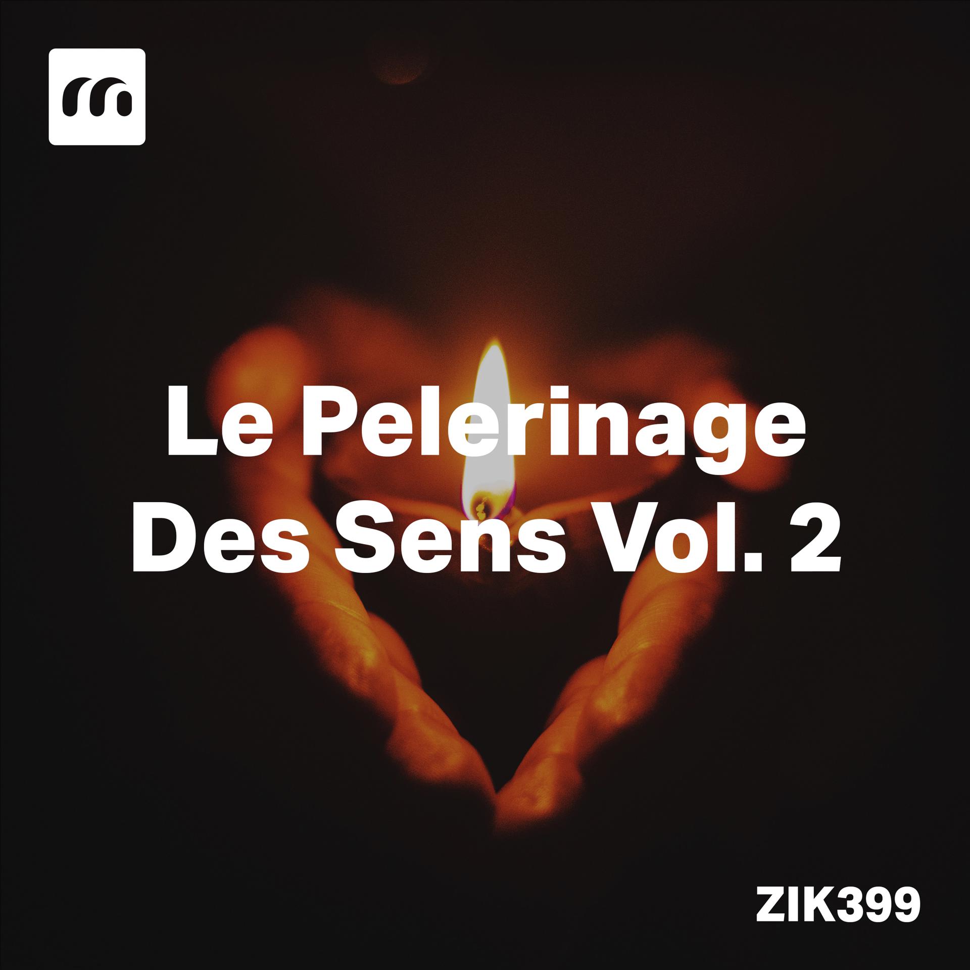 Постер альбома Le Pelerinage Des Sens, vol. 2