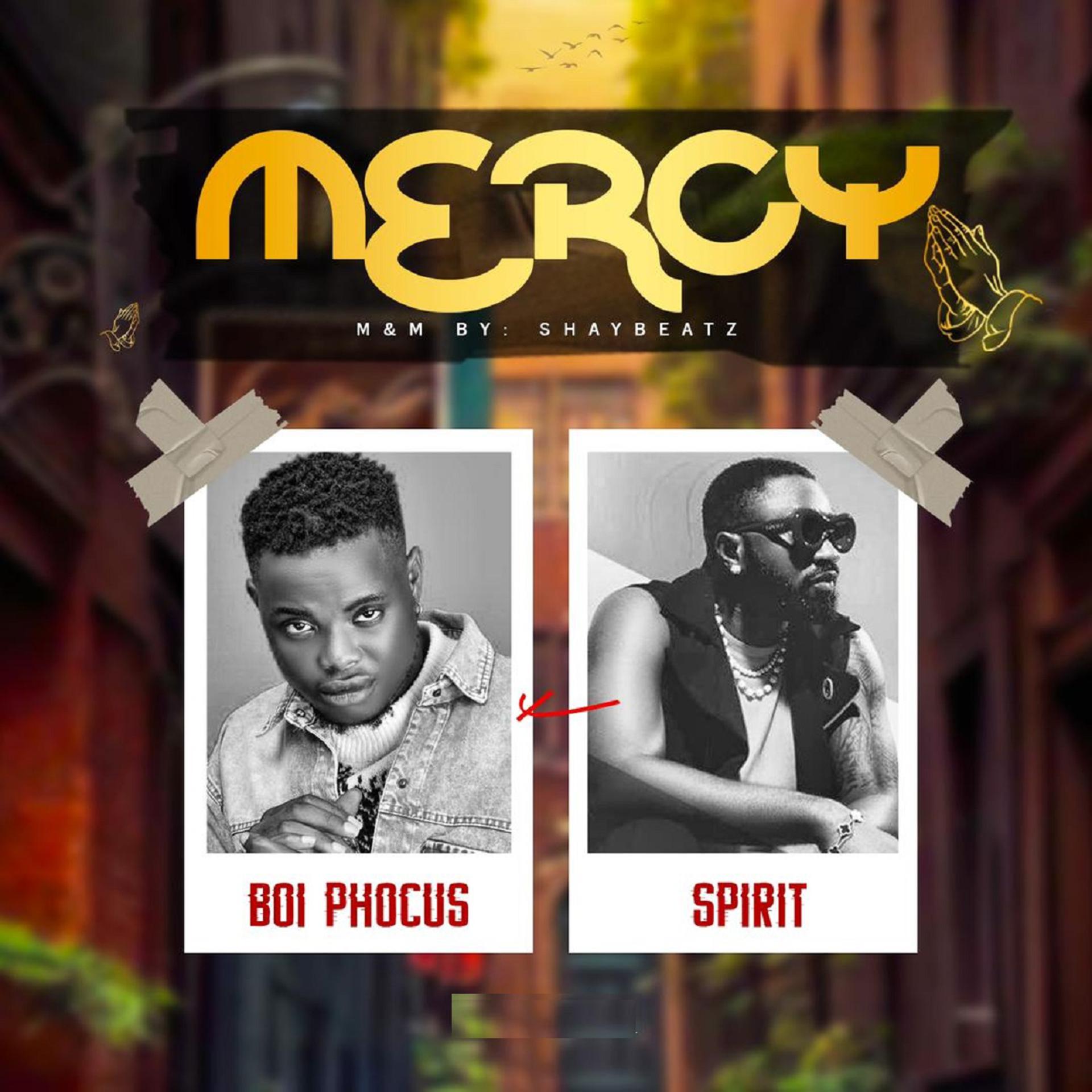 Постер альбома Mercy (Anu)