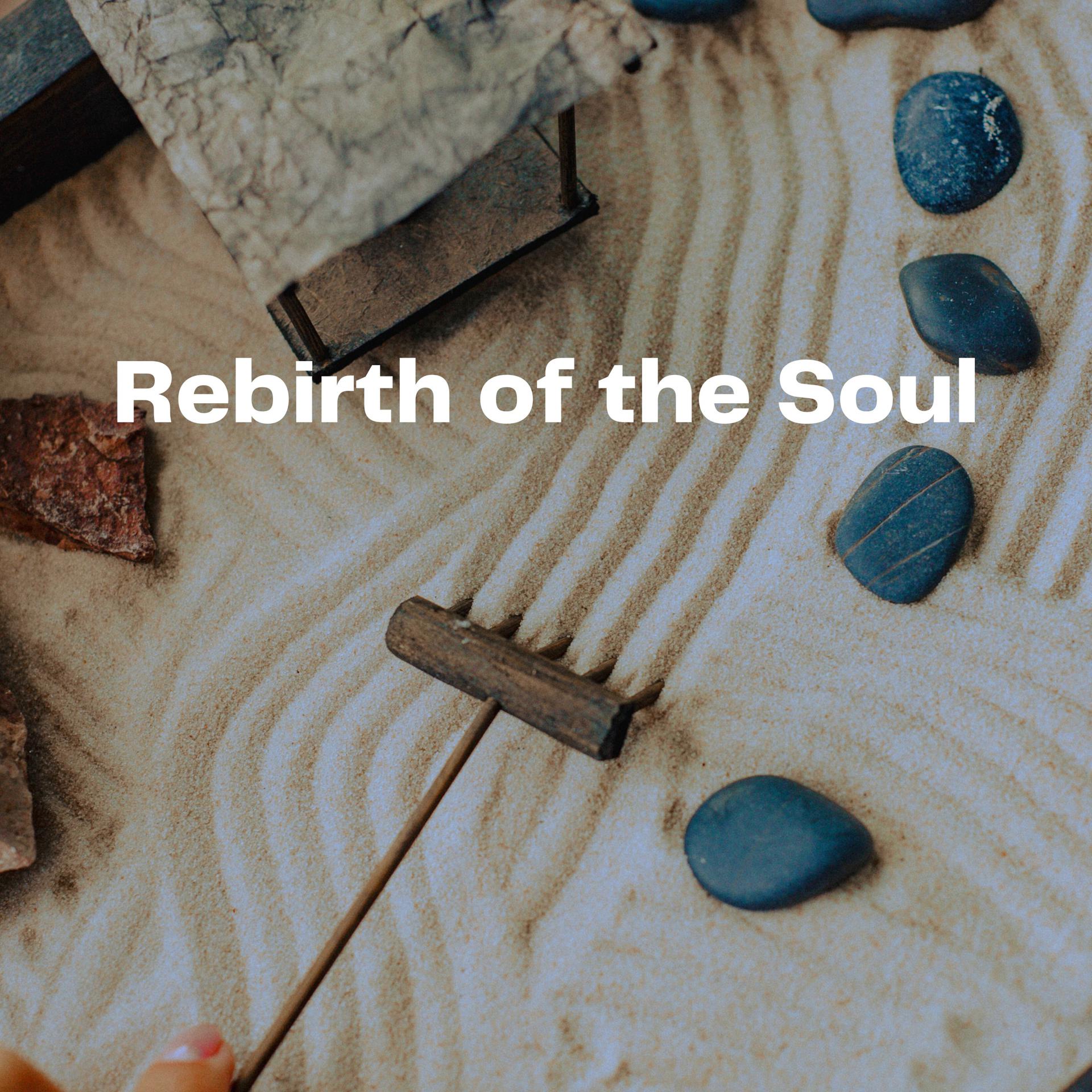 Постер альбома Rebirth of the Soul