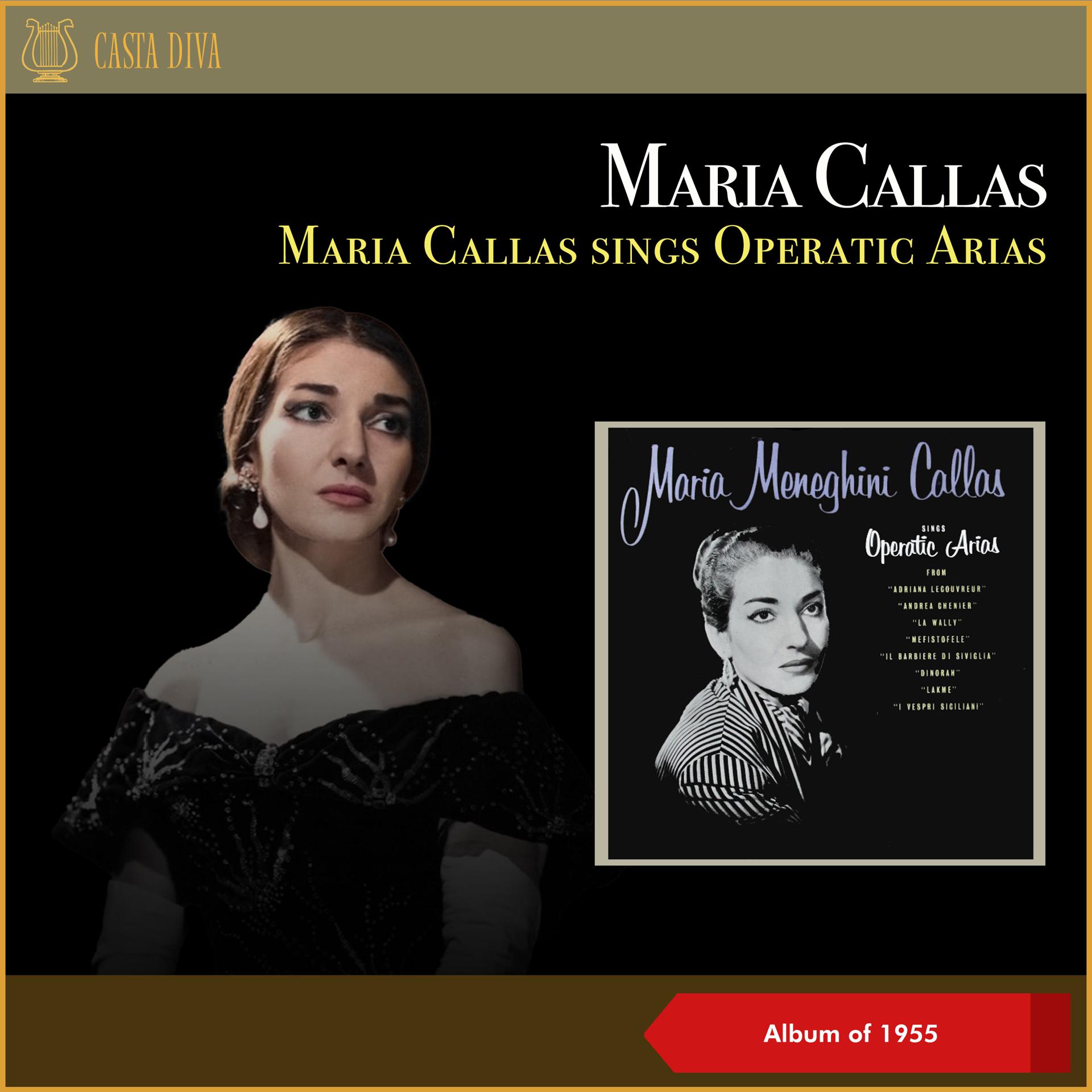 Постер альбома Maria Callas sings Operatic Arias