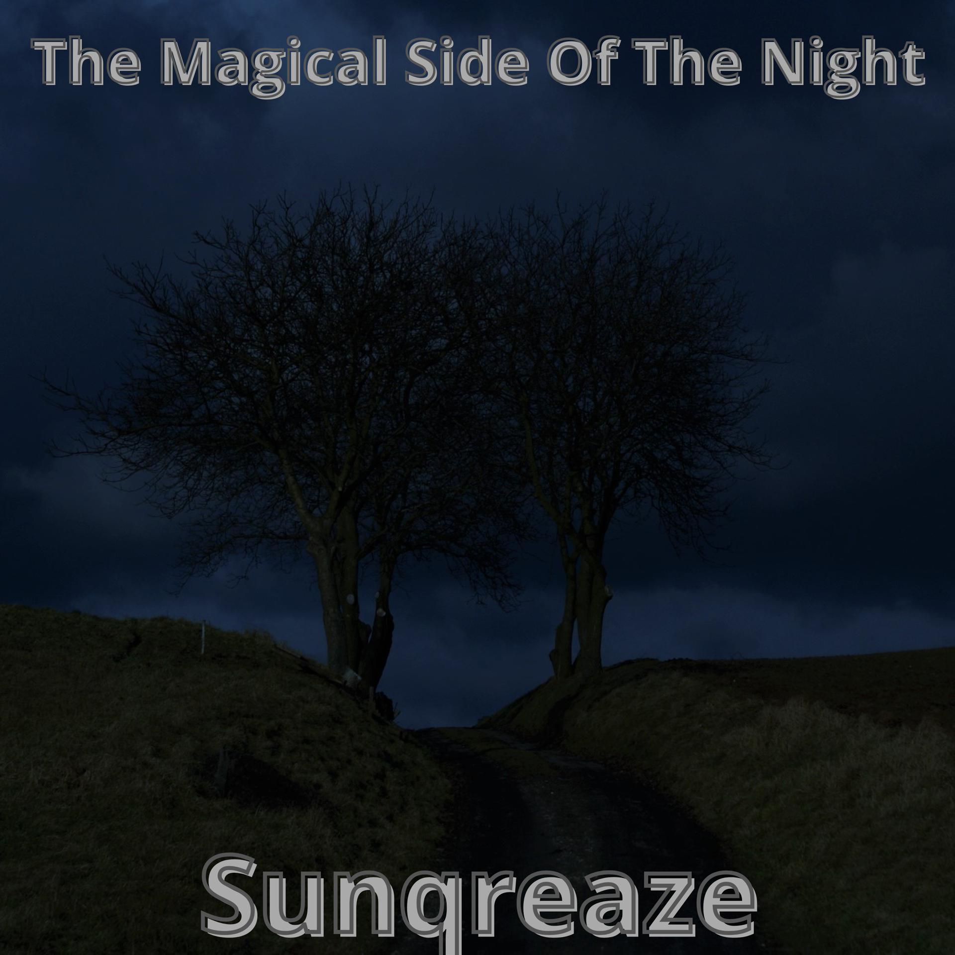 Постер альбома The Magical Side of the Night