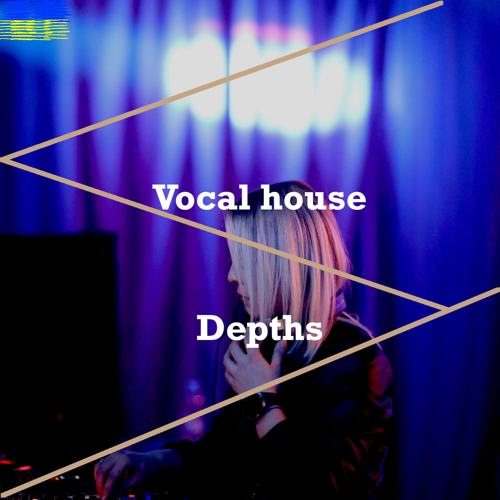 Постер альбома Vocal House Depths