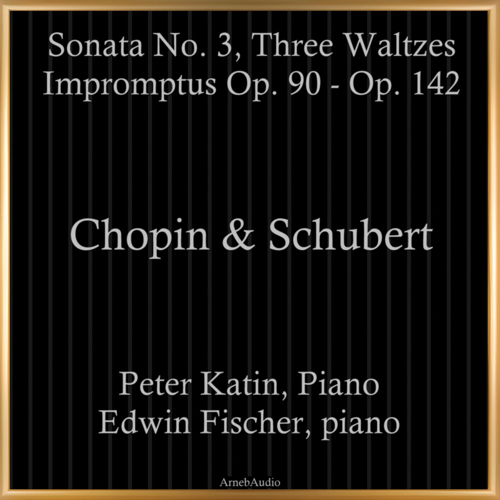 Постер альбома Chopin & Schubert: Sonata No. 3, Three Waltzes, Impromptus Op. 90 - Op. 142