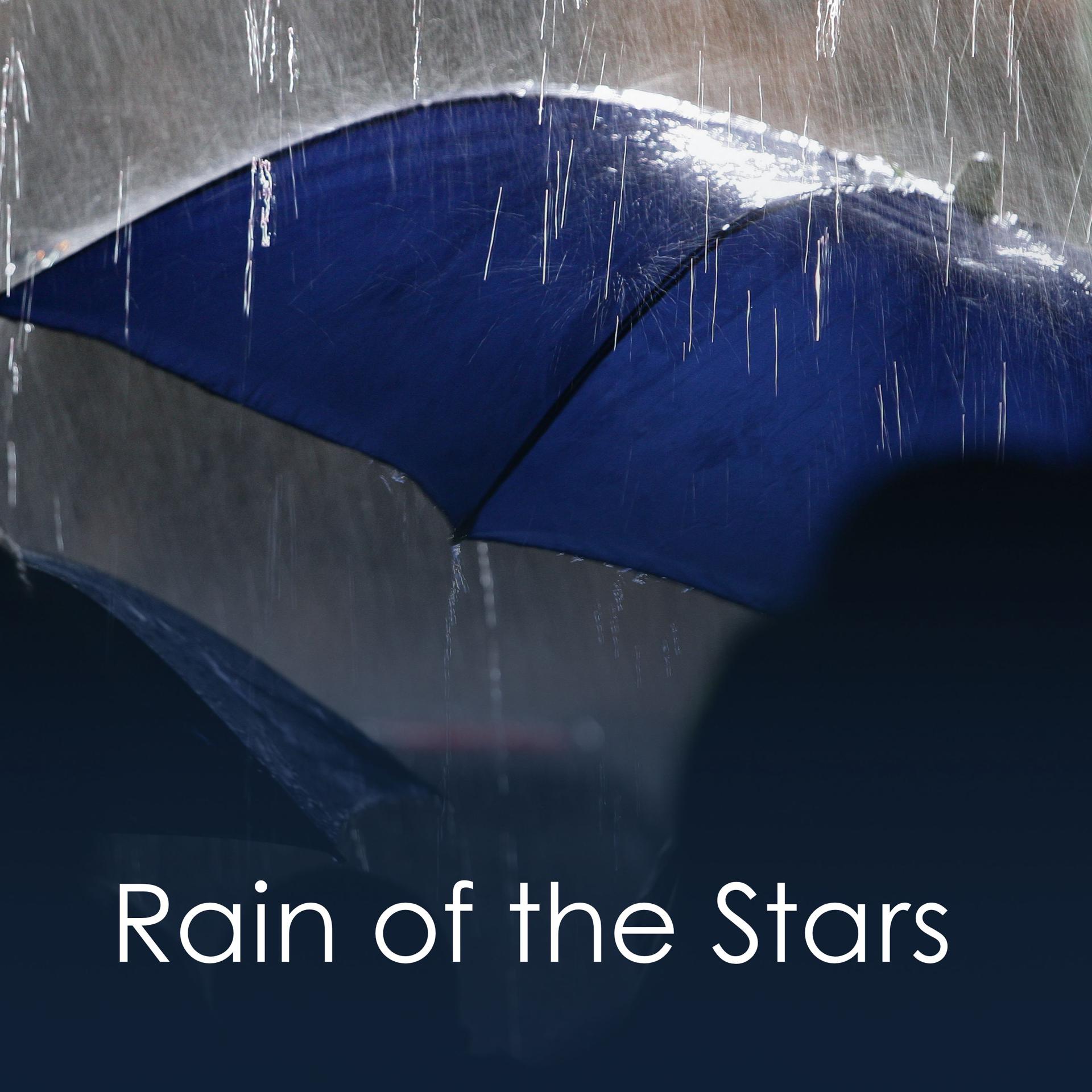 Постер альбома Rain of the Stars