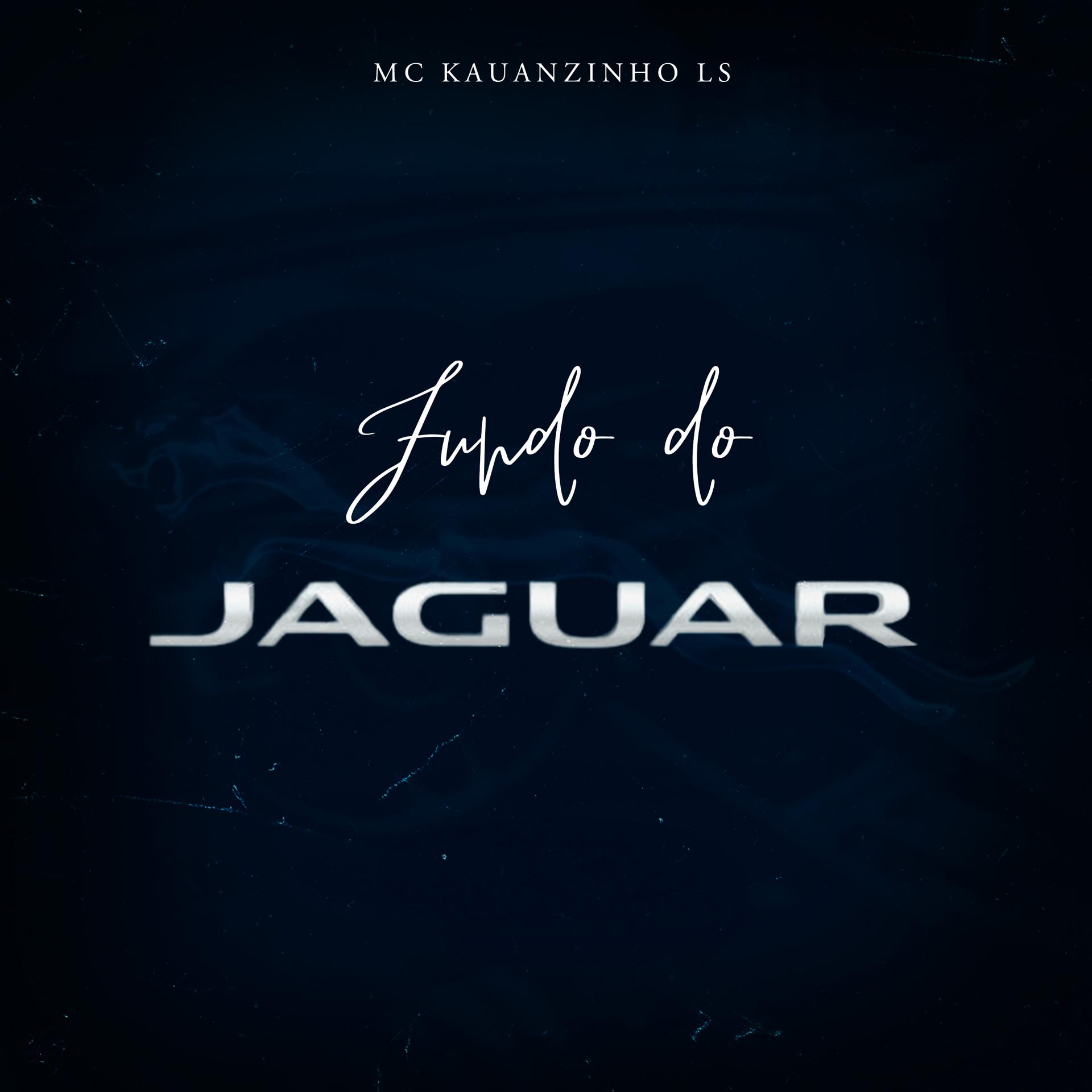 Постер альбома Fundo do Jaguar