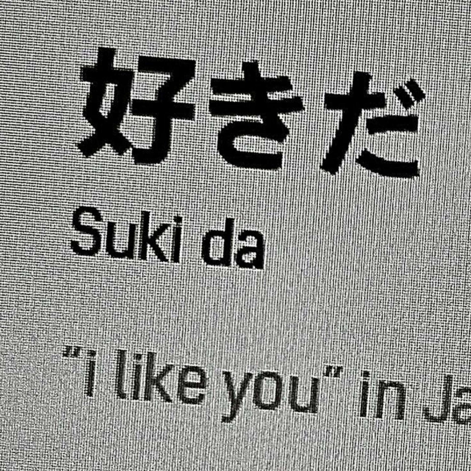 Постер альбома Suki da / 幻想を壊す / animecore, breakcore