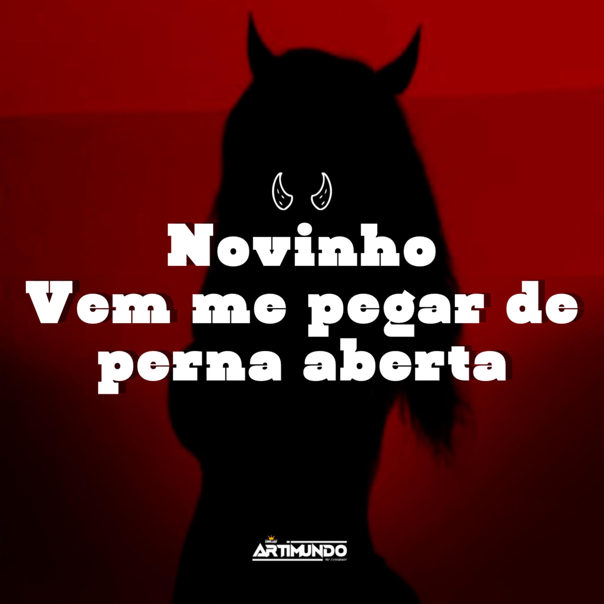 Постер альбома Novinho Vem Me Pegar de Perna Aberta
